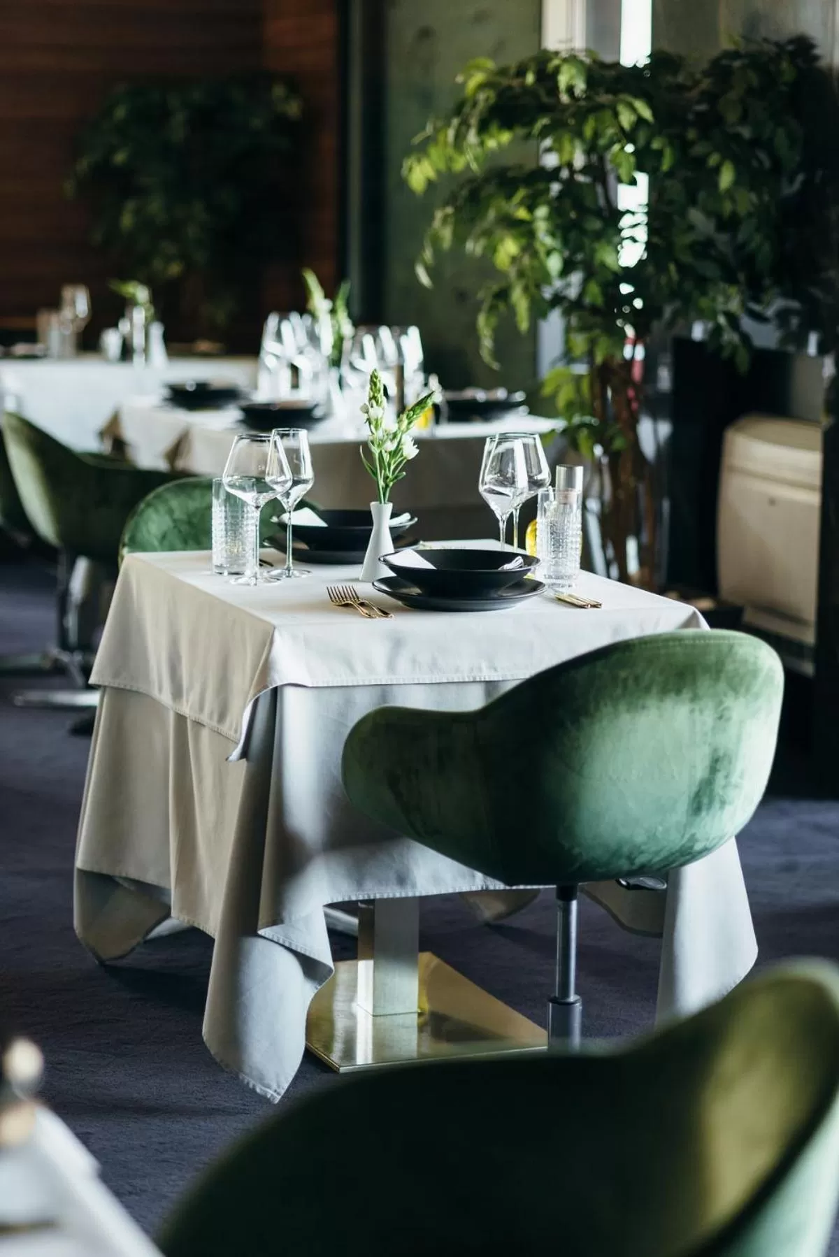 Restaurant/places to eat in Ambasador Hotel