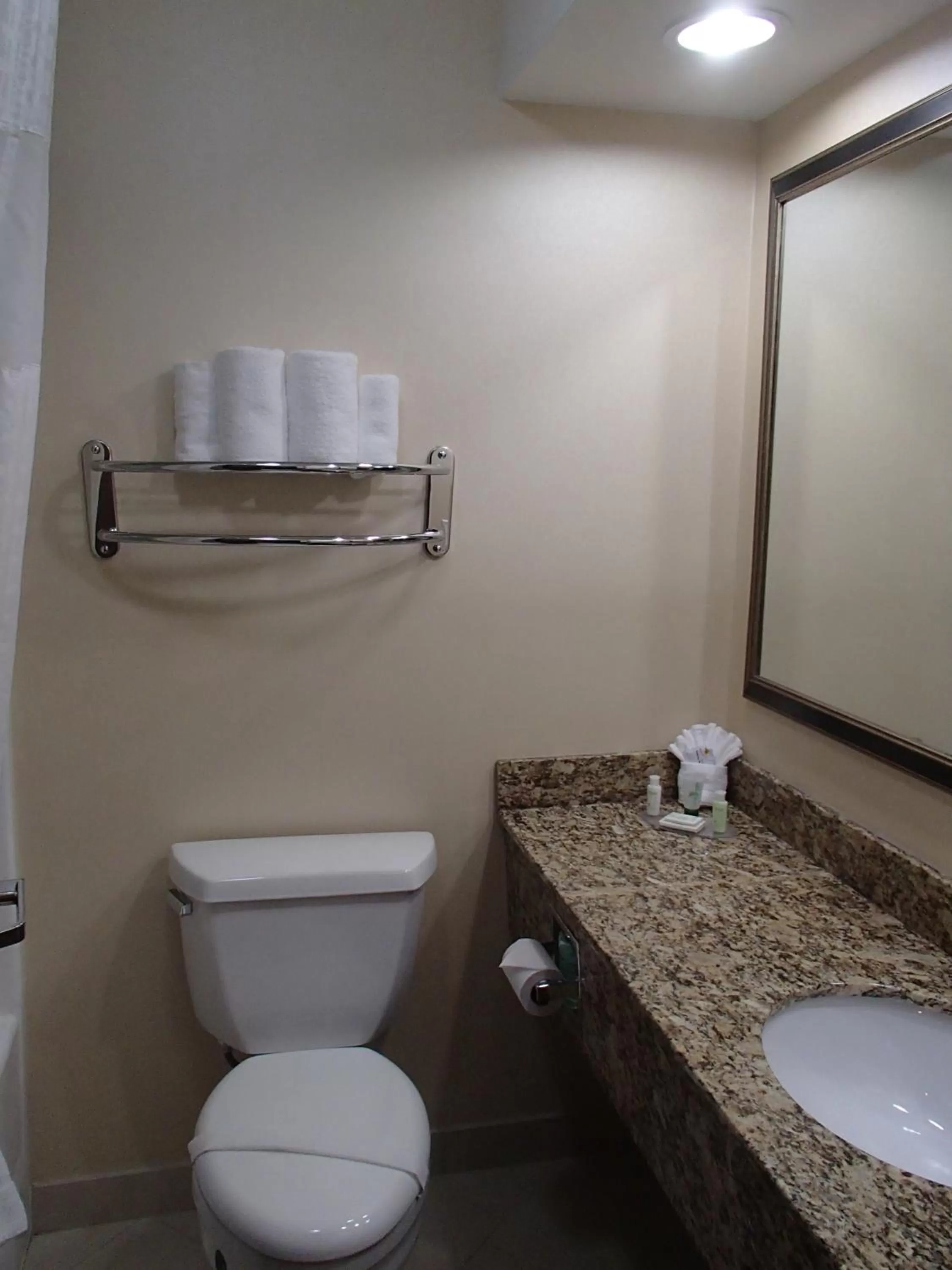 Bathroom in Lux Hotel & Spa, Trademark Collection by Wyndham