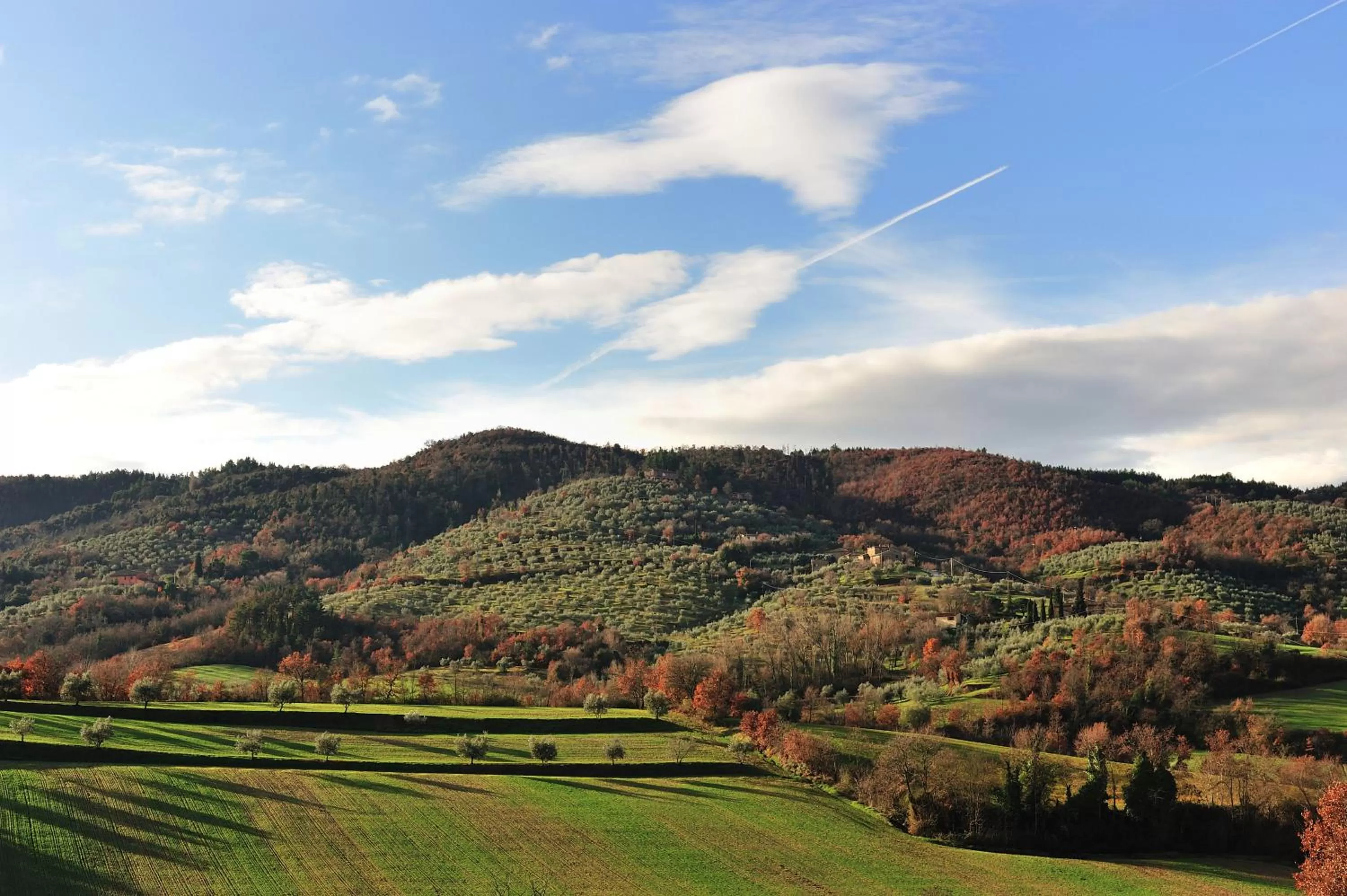 Area and facilities in Agriturismo Tenuta Badia
