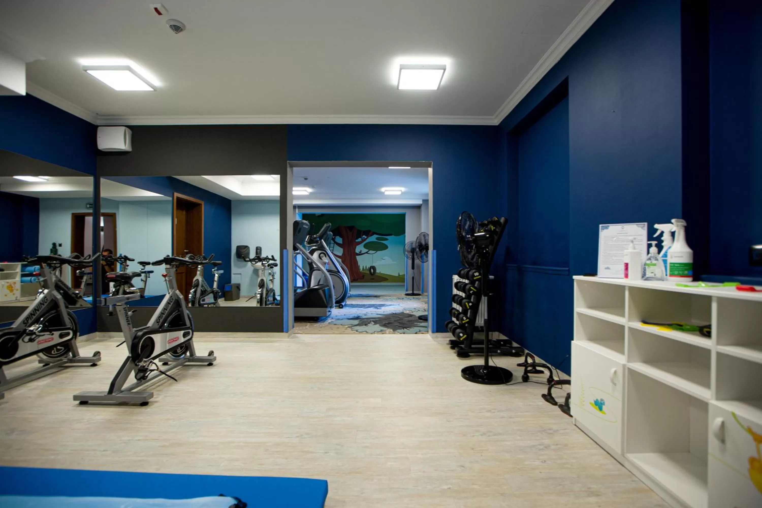 Fitness centre/facilities in Hotel Aubrecht Country Spa Resort