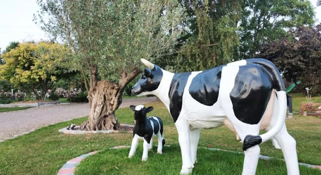 Garden in La Chaumière