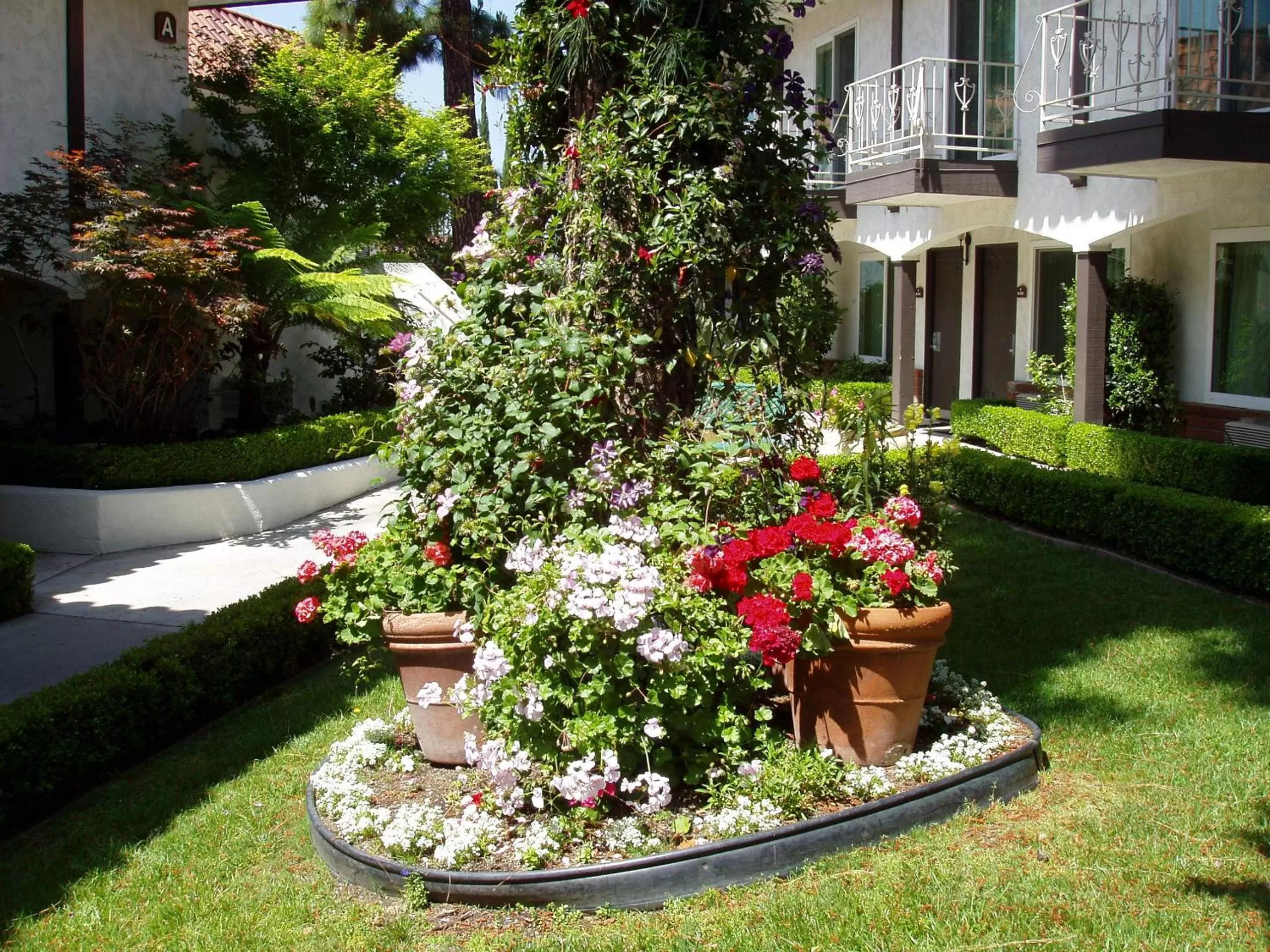 Garden in Laguna Hills Lodge-Irvine Spectrum