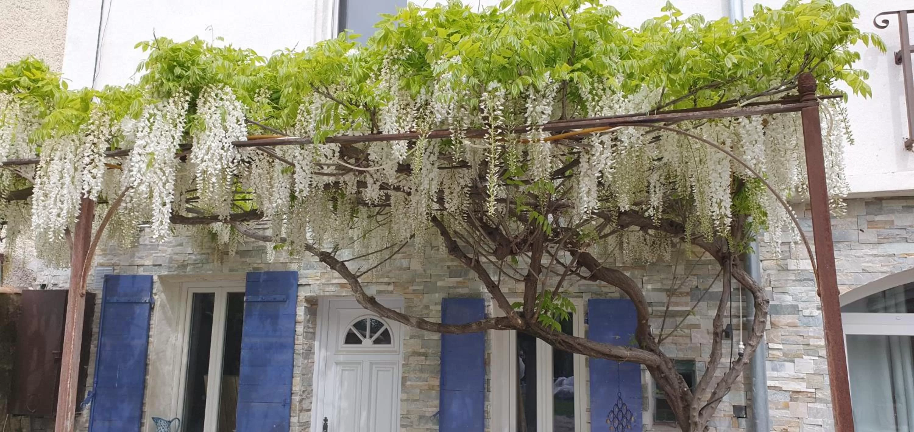Garden in LE MAS COTHY en Provence