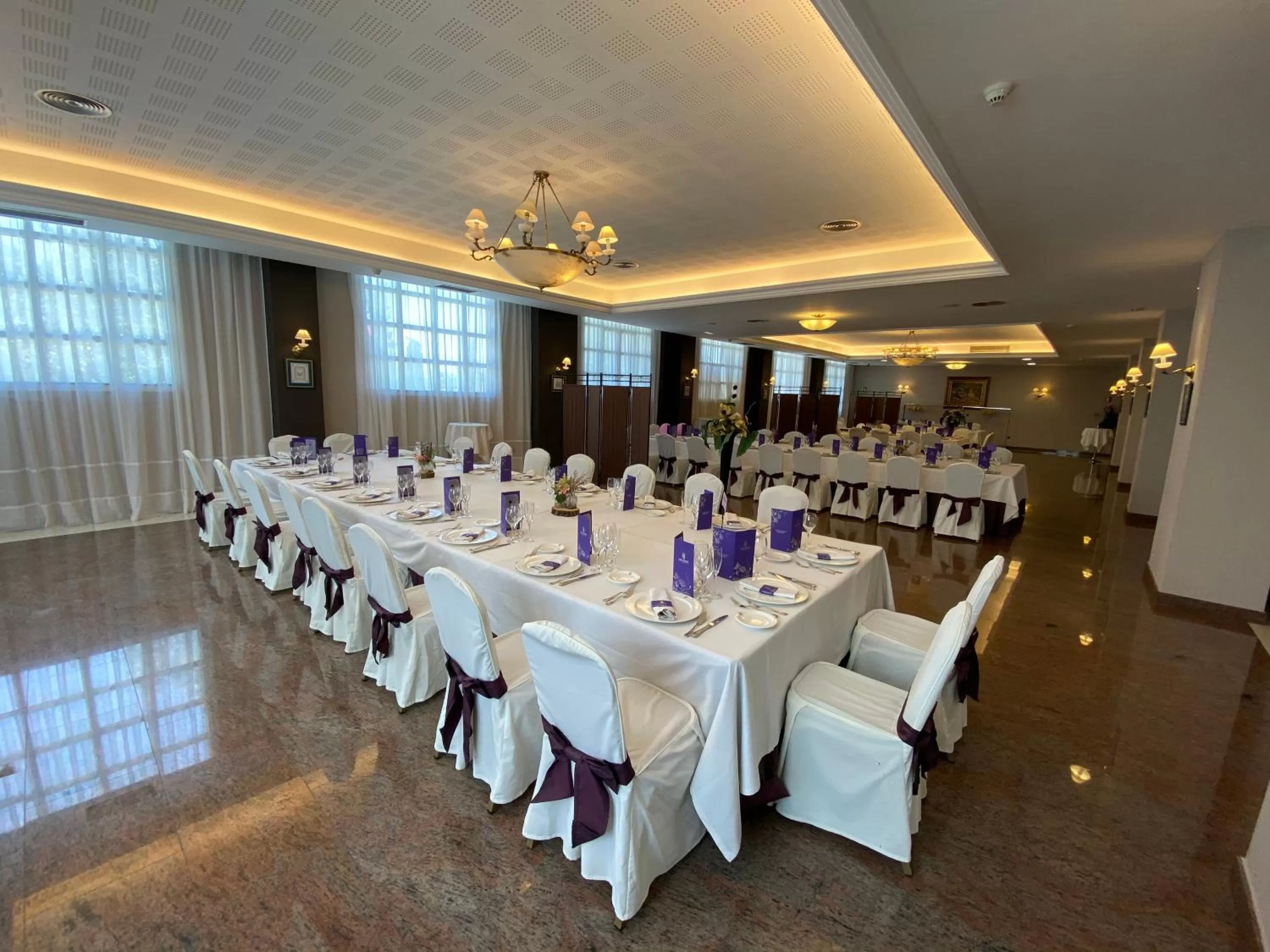 Business facilities in Hotel Lasa Sport