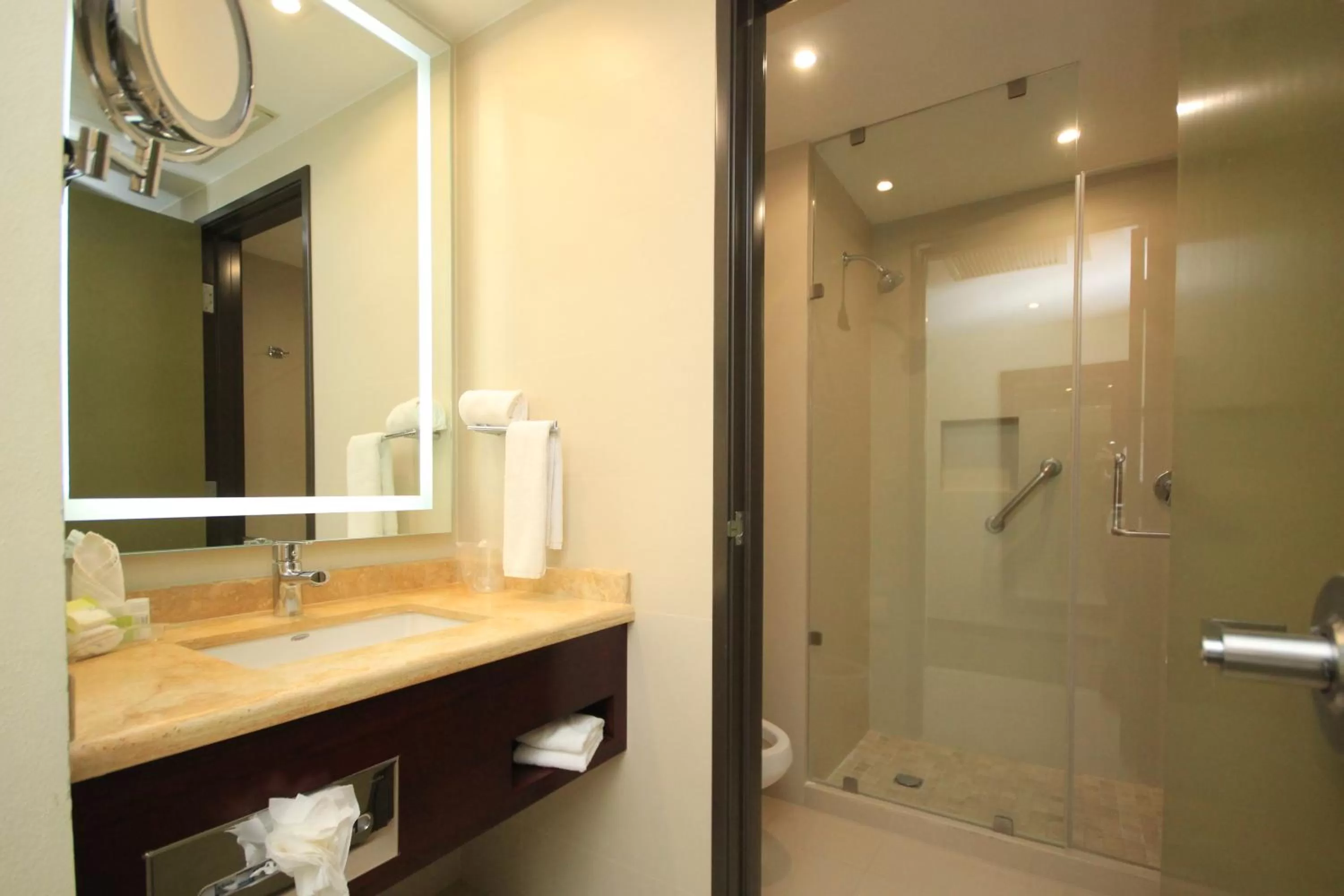 Bathroom in Holiday Inn Leon by IHG