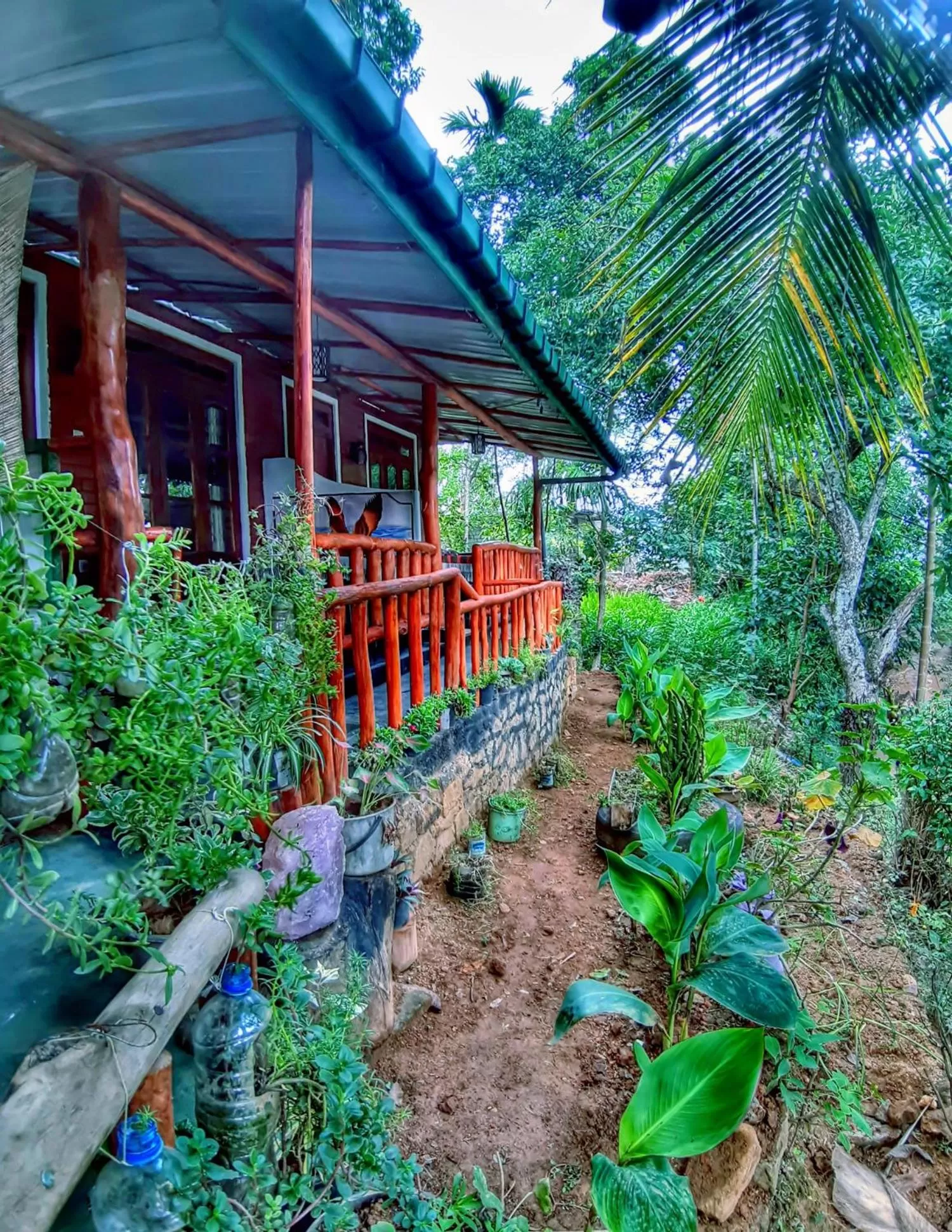 Garden view in Cozy Homestay Waterfall Road Ella