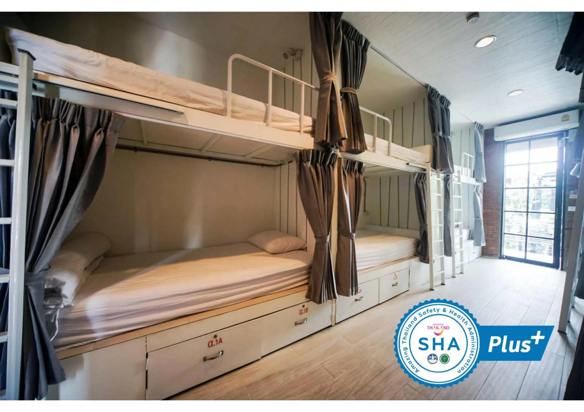 bunk bed, Bed in What's Up Chiang Mai