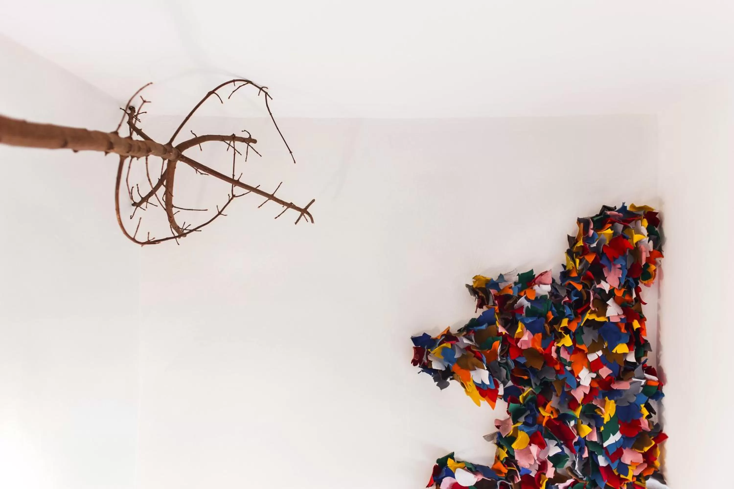 Photo of the whole room in Albergo Ristorante San Giors