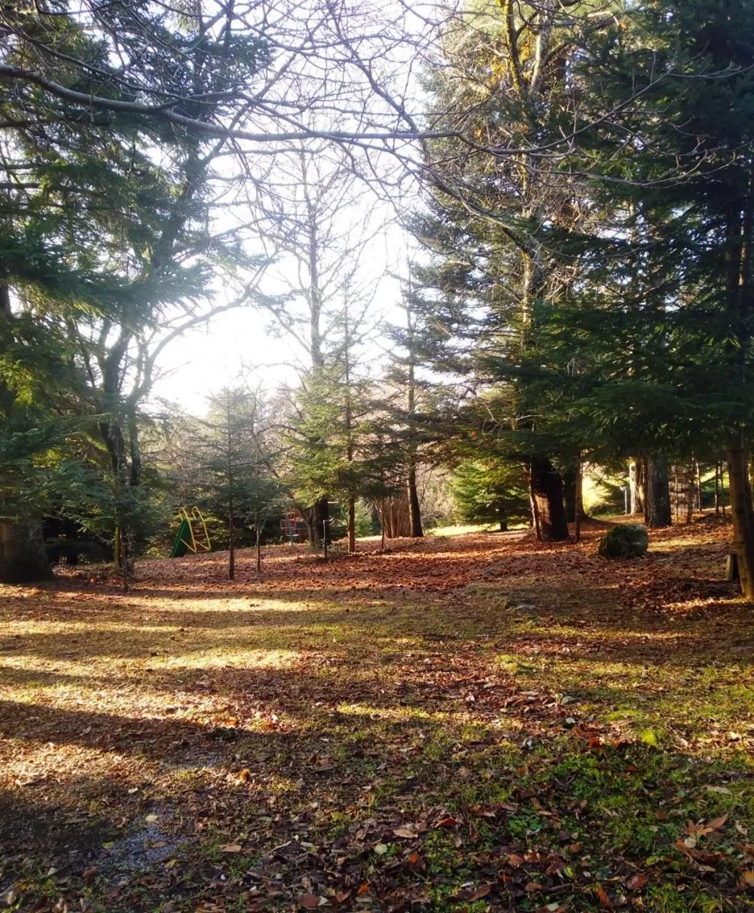 Garden in b&b Casa Alegría