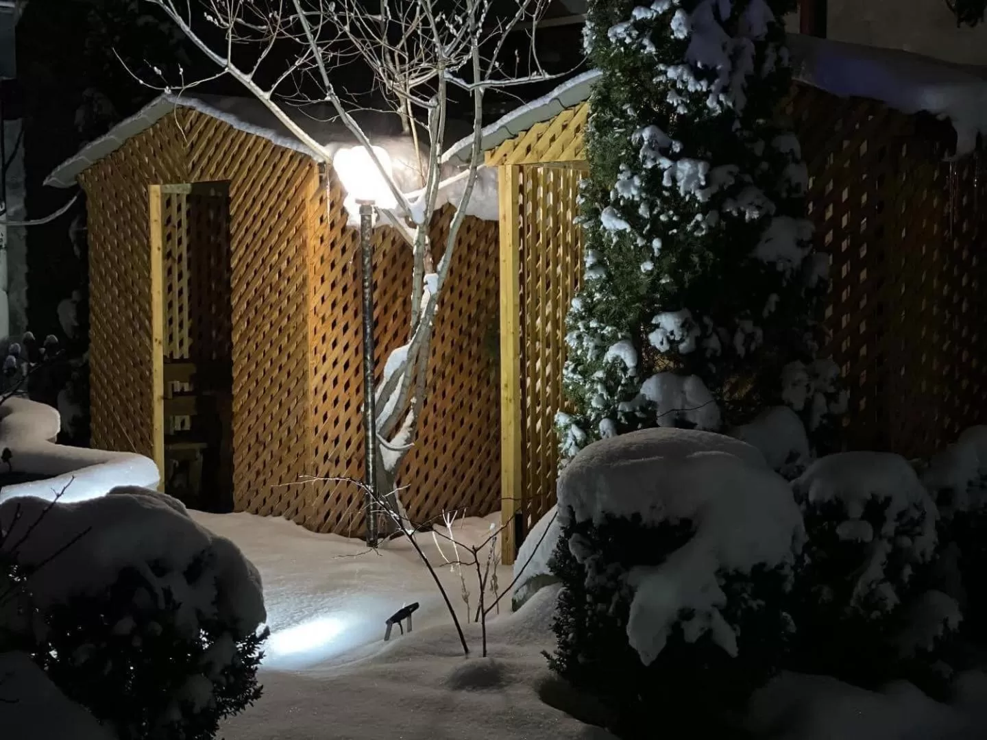 Property building, Winter in Diana Hotel