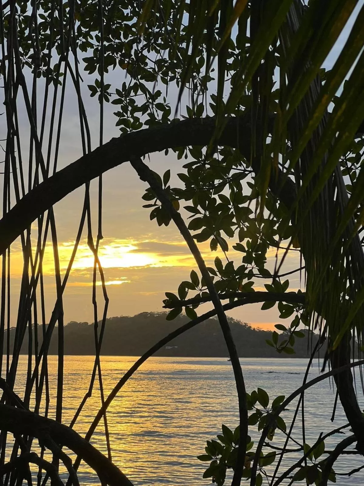 Natural landscape in RIVA B&B