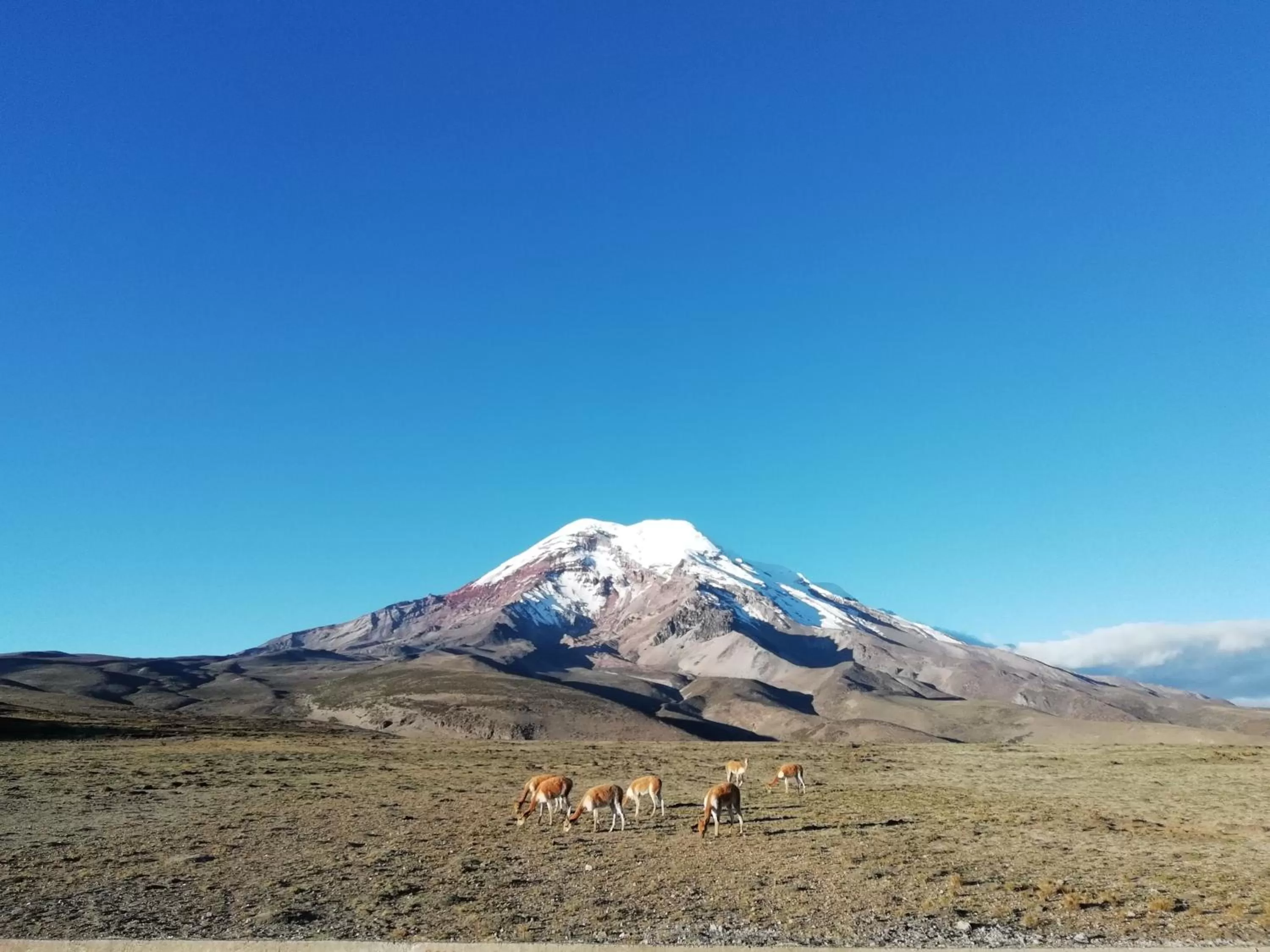 Activities, Winter in Hostal La Casa Amarilla City