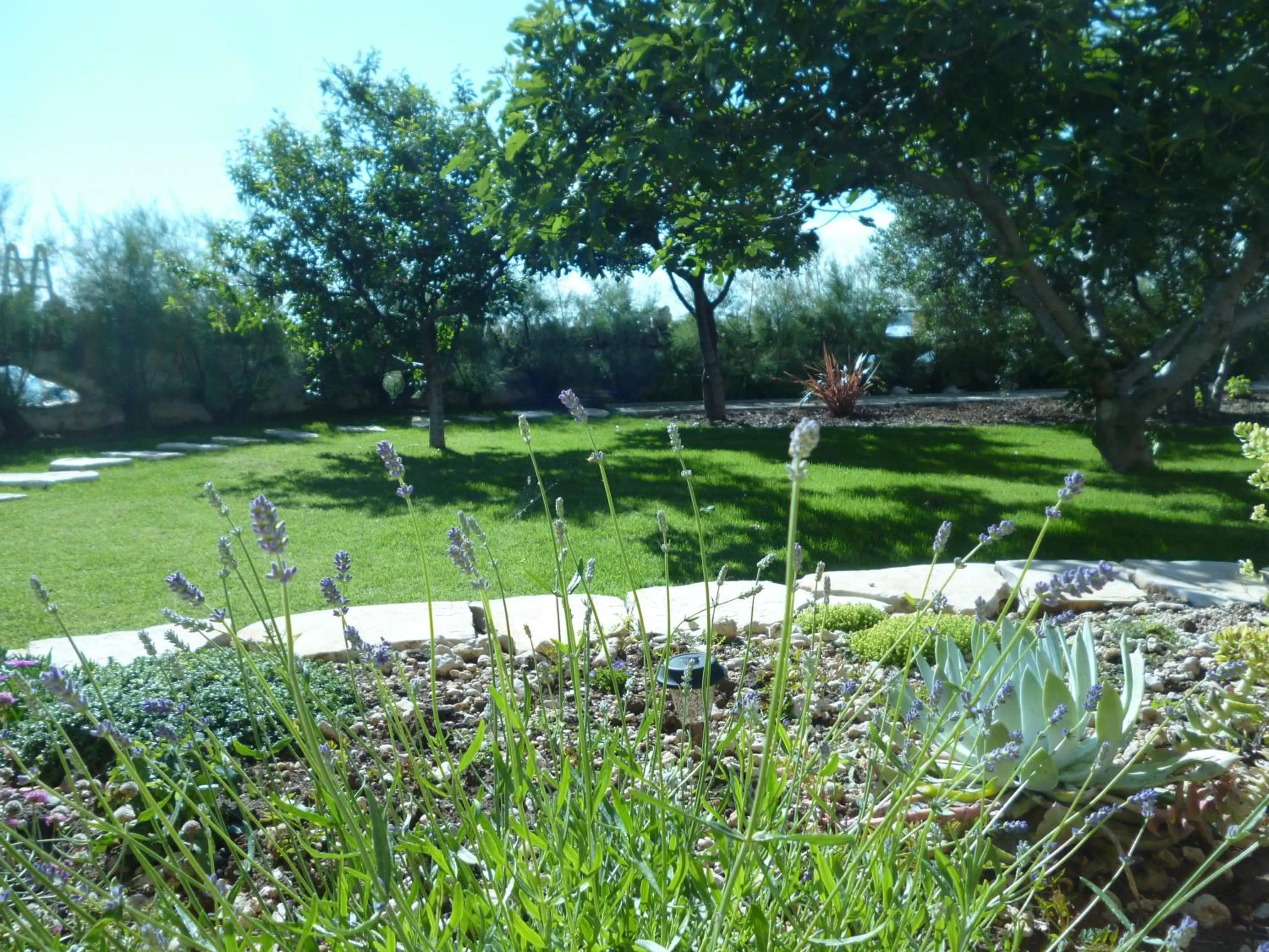 Facade/entrance, Garden in Bed&Breakfast Vanni