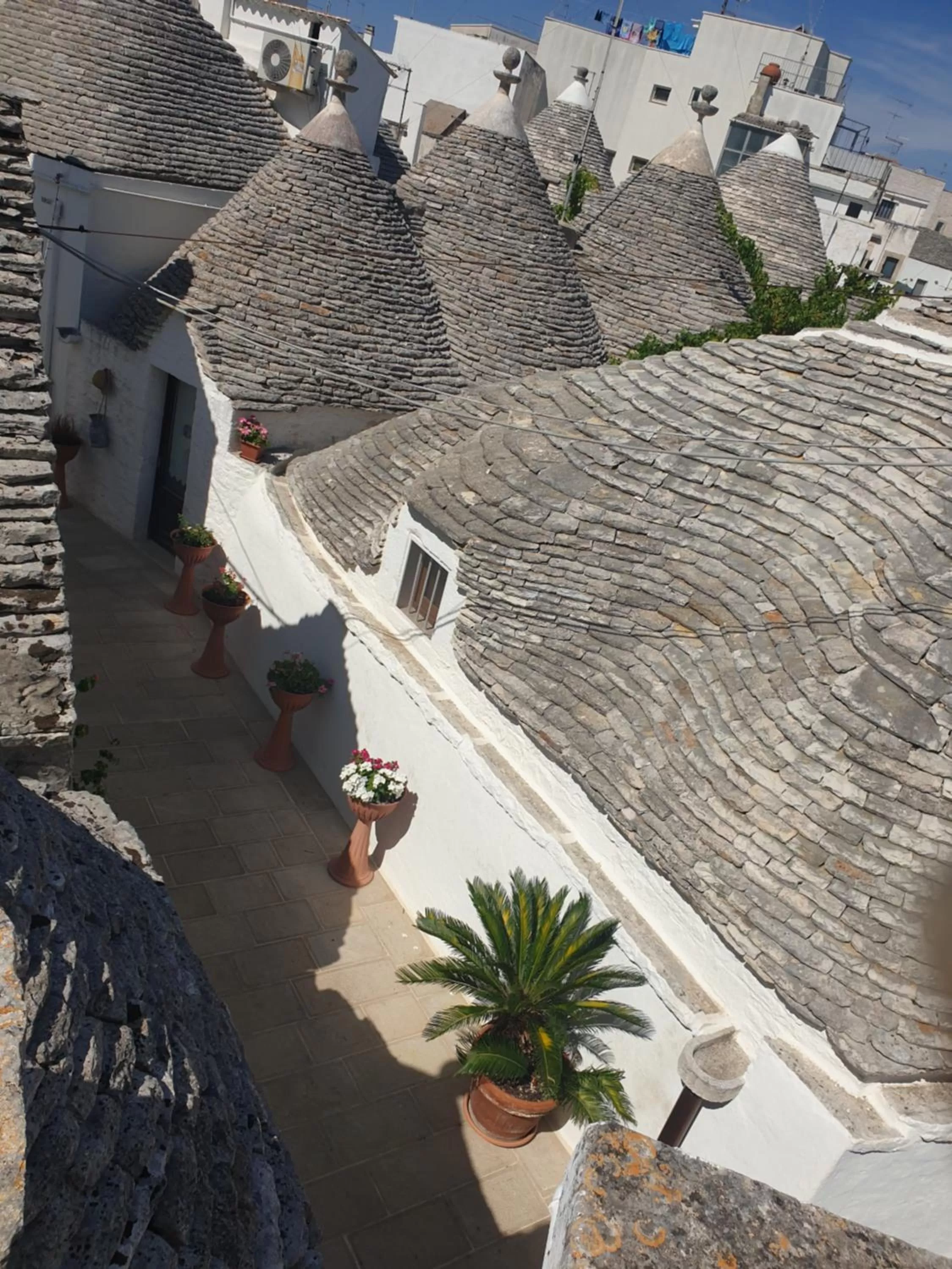 Garden view in Giardino Dei Trulli