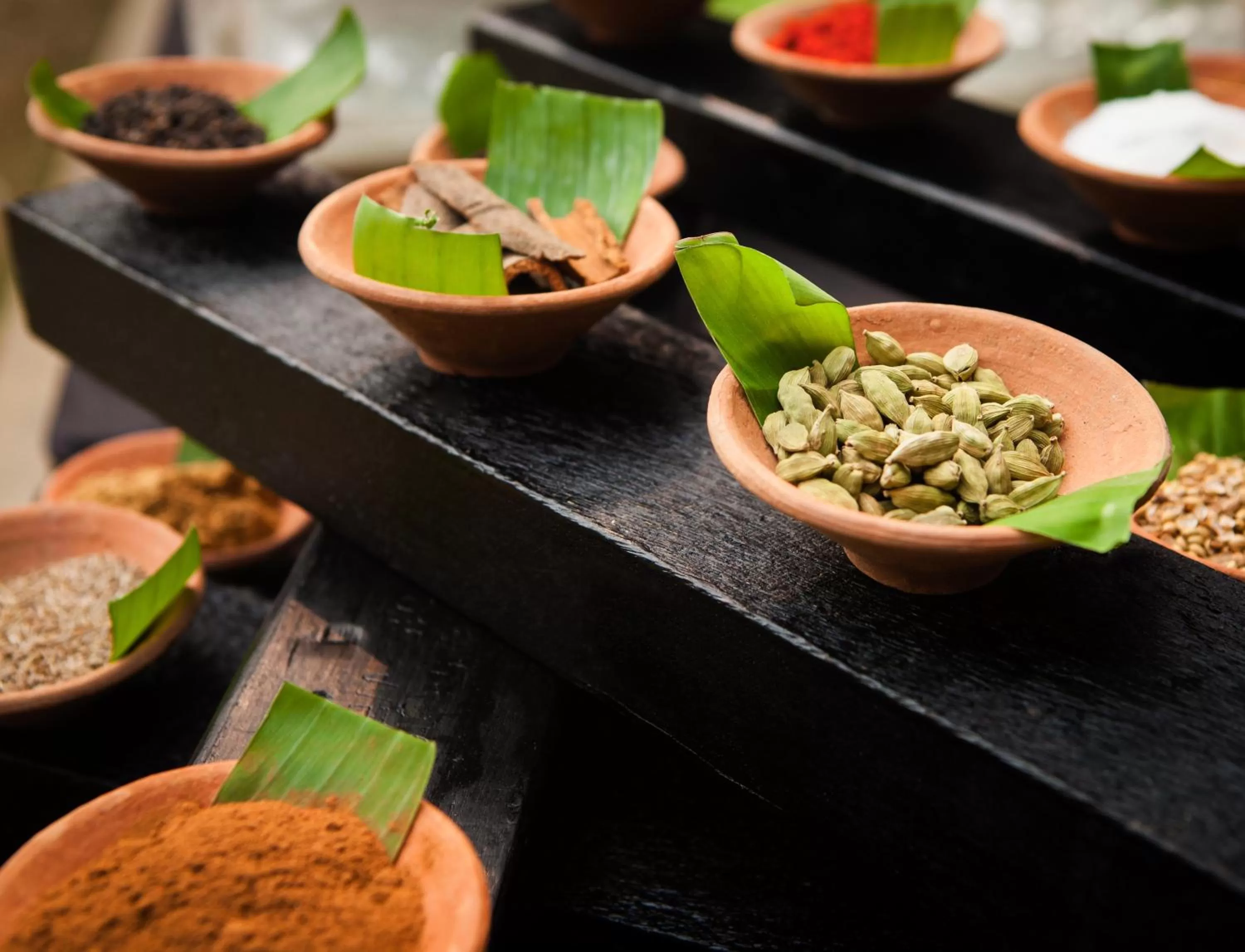 Food in Taj Surajkund Resort & Spa, Delhi NCR