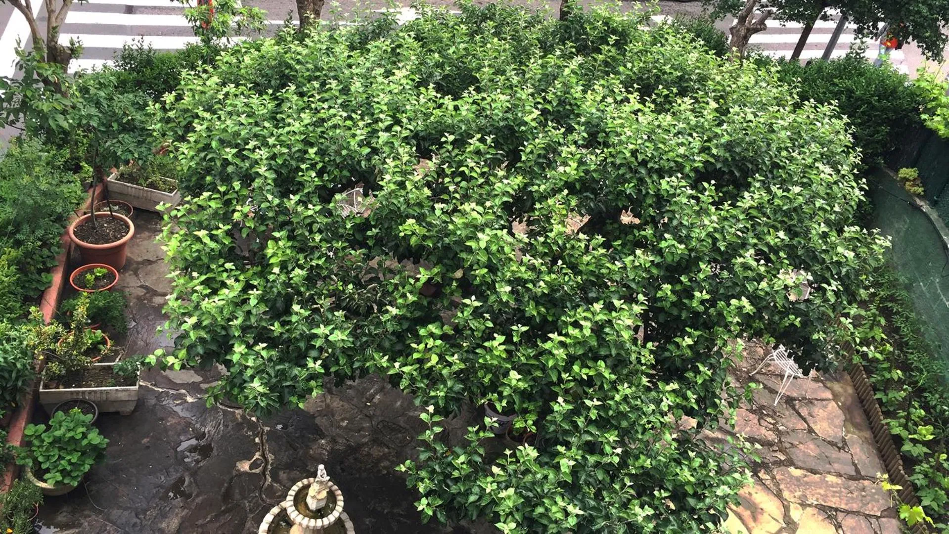 Garden view in Hotel A Nieu