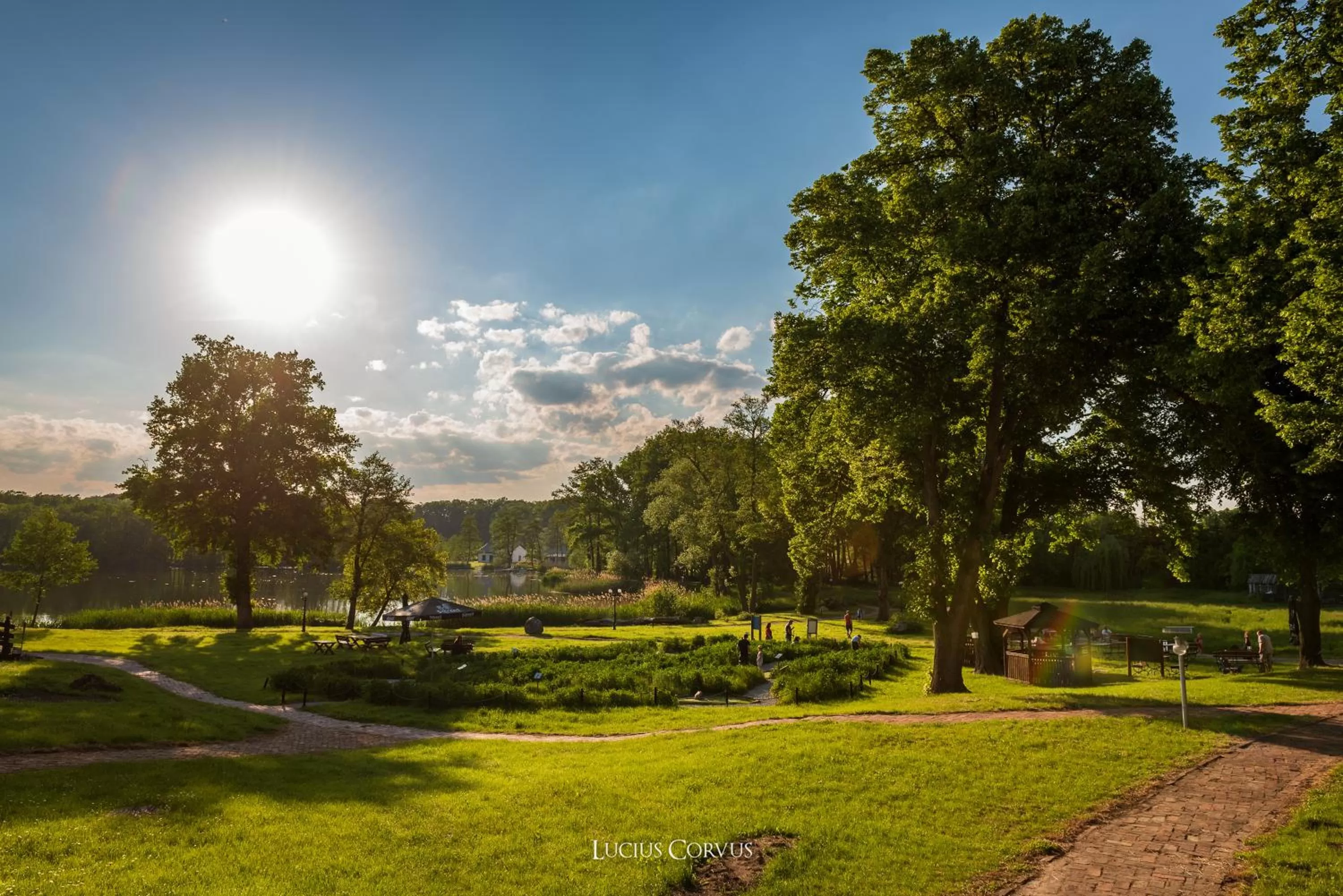 Windsurfing, Garden in Olandia