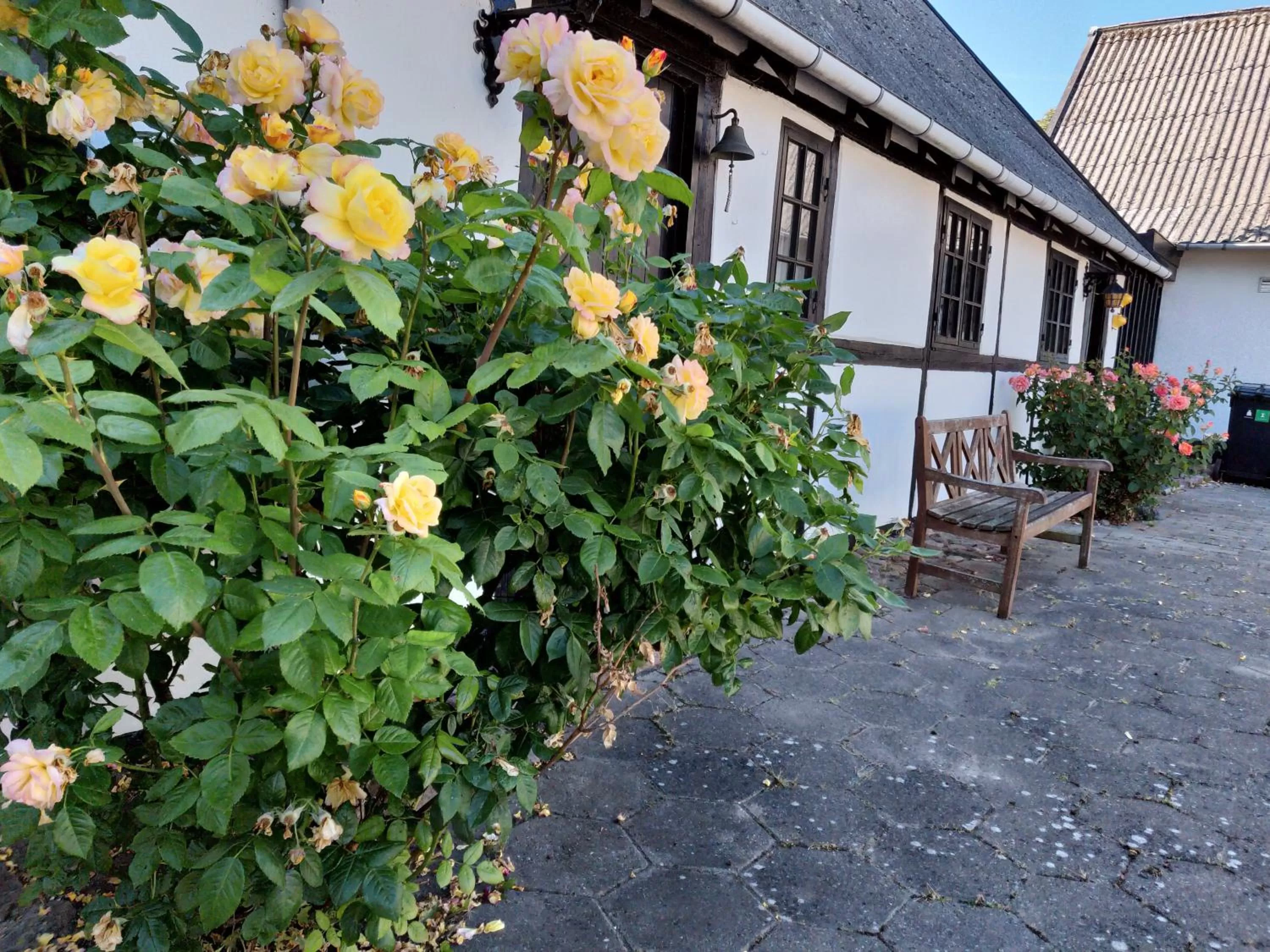 Garden, Property Building in Dåstrup Bed & Breakfast