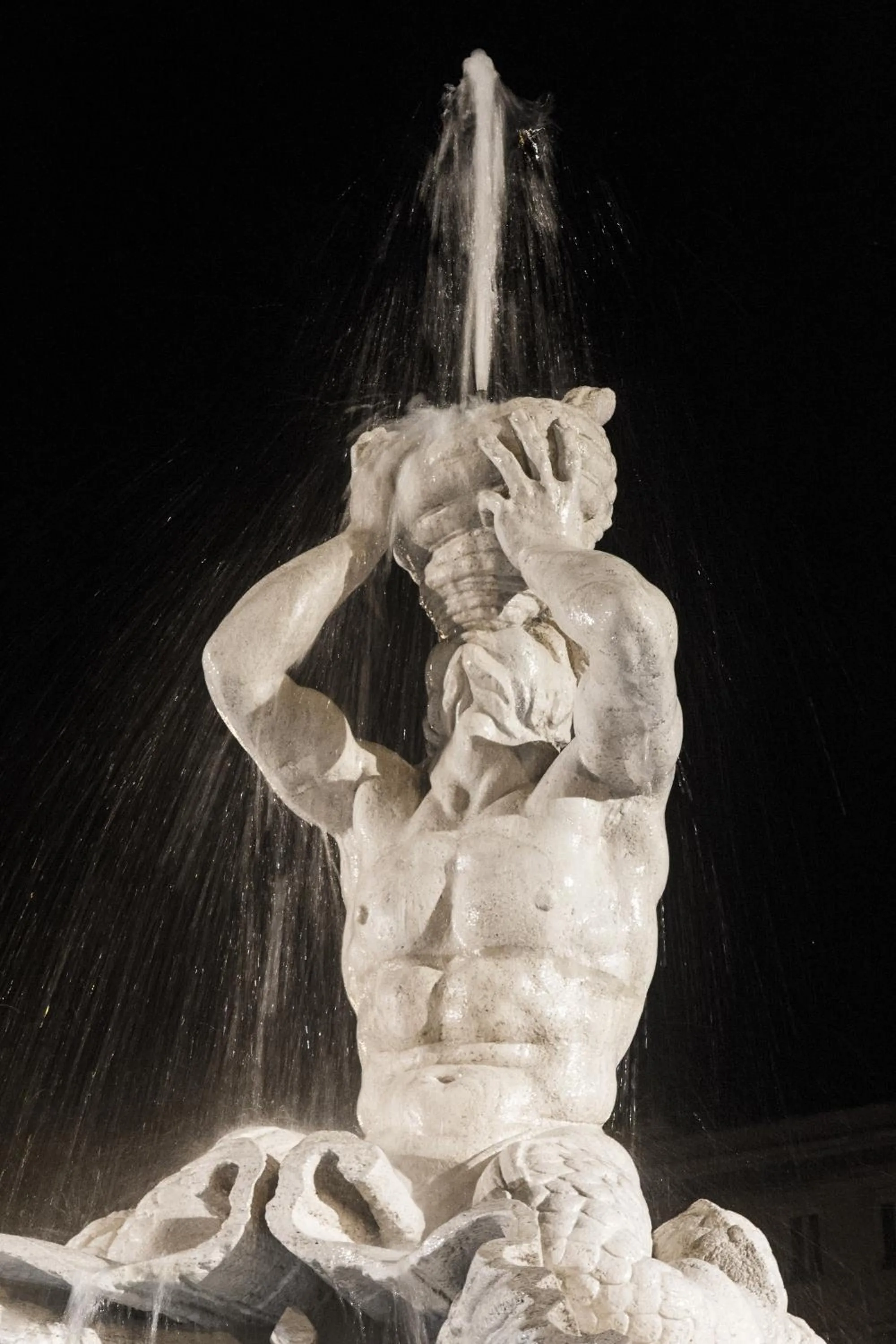 Area and facilities in Hotel Priscilla