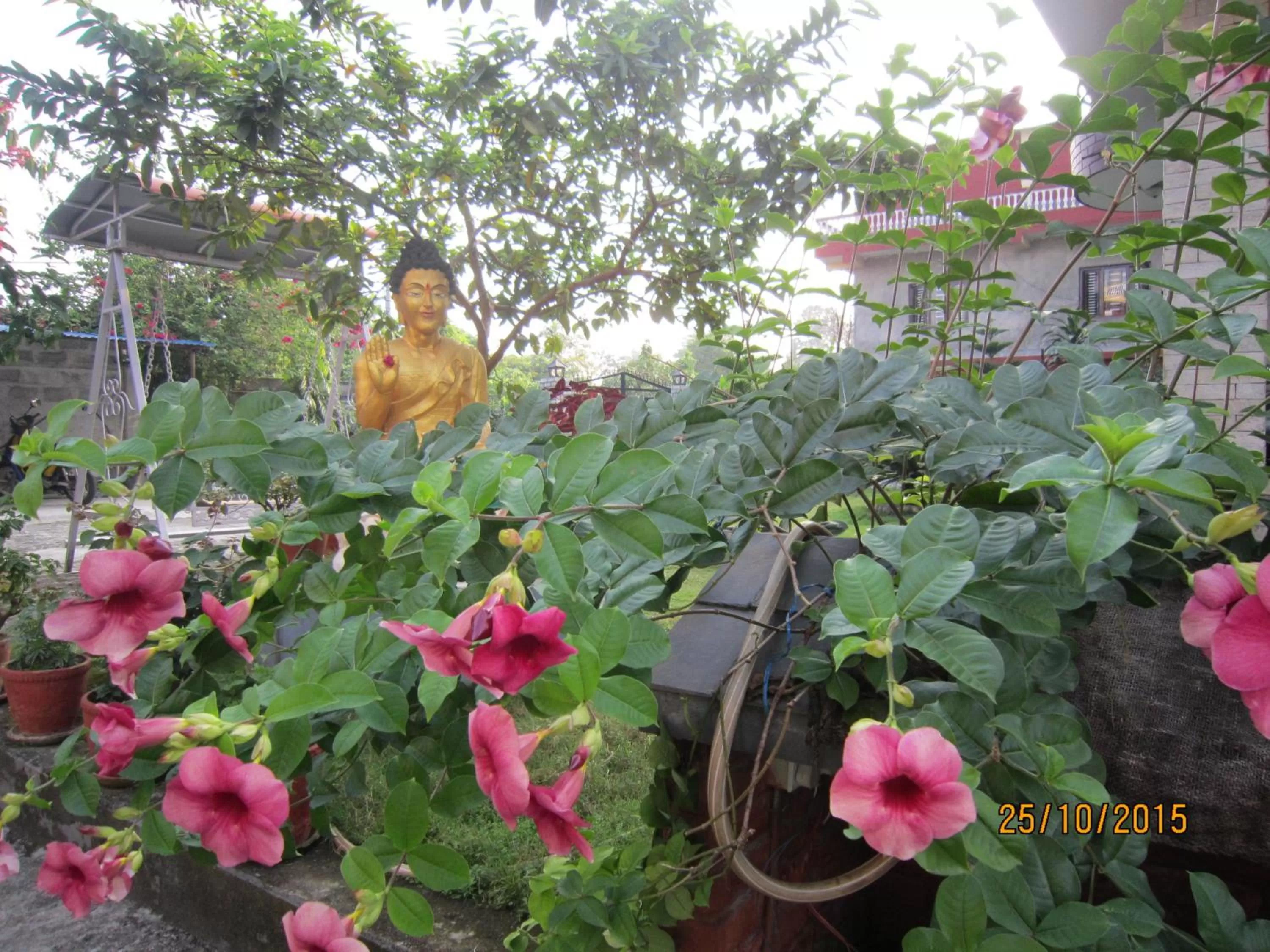 Bird's eye view in New Annapurna Guest House