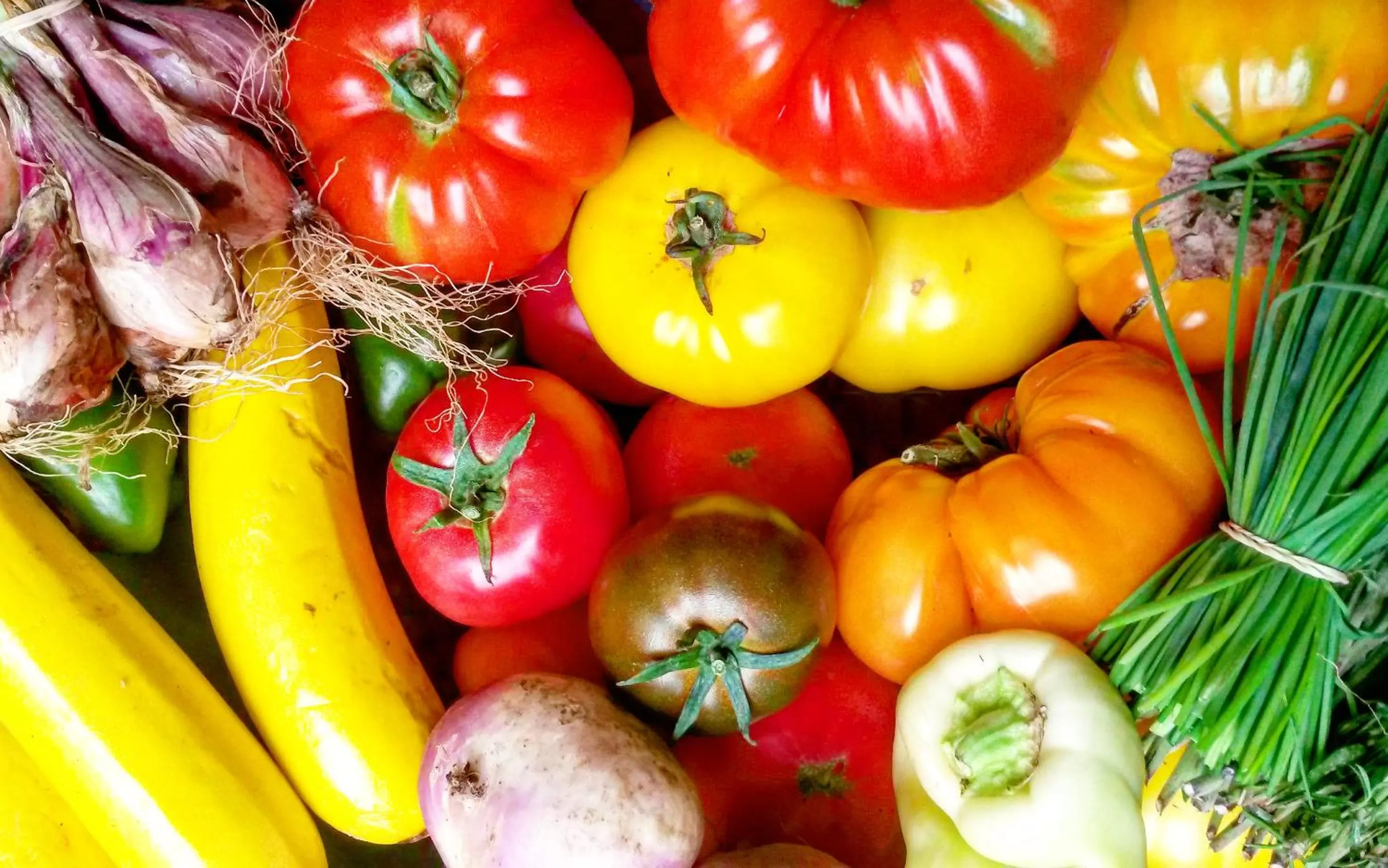 Restaurant/places to eat in Hotel Libera Caen Colombelles