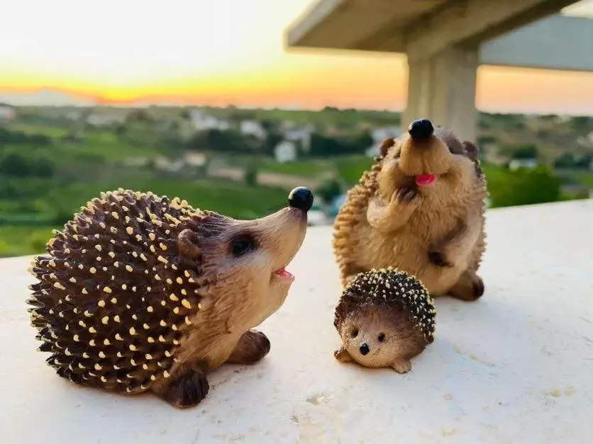 Tana del Riccio Tana del Riccio