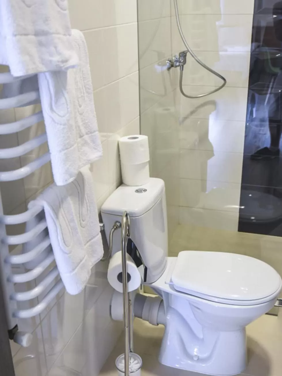 Shower, Bathroom in Willa Szczepaniakówka