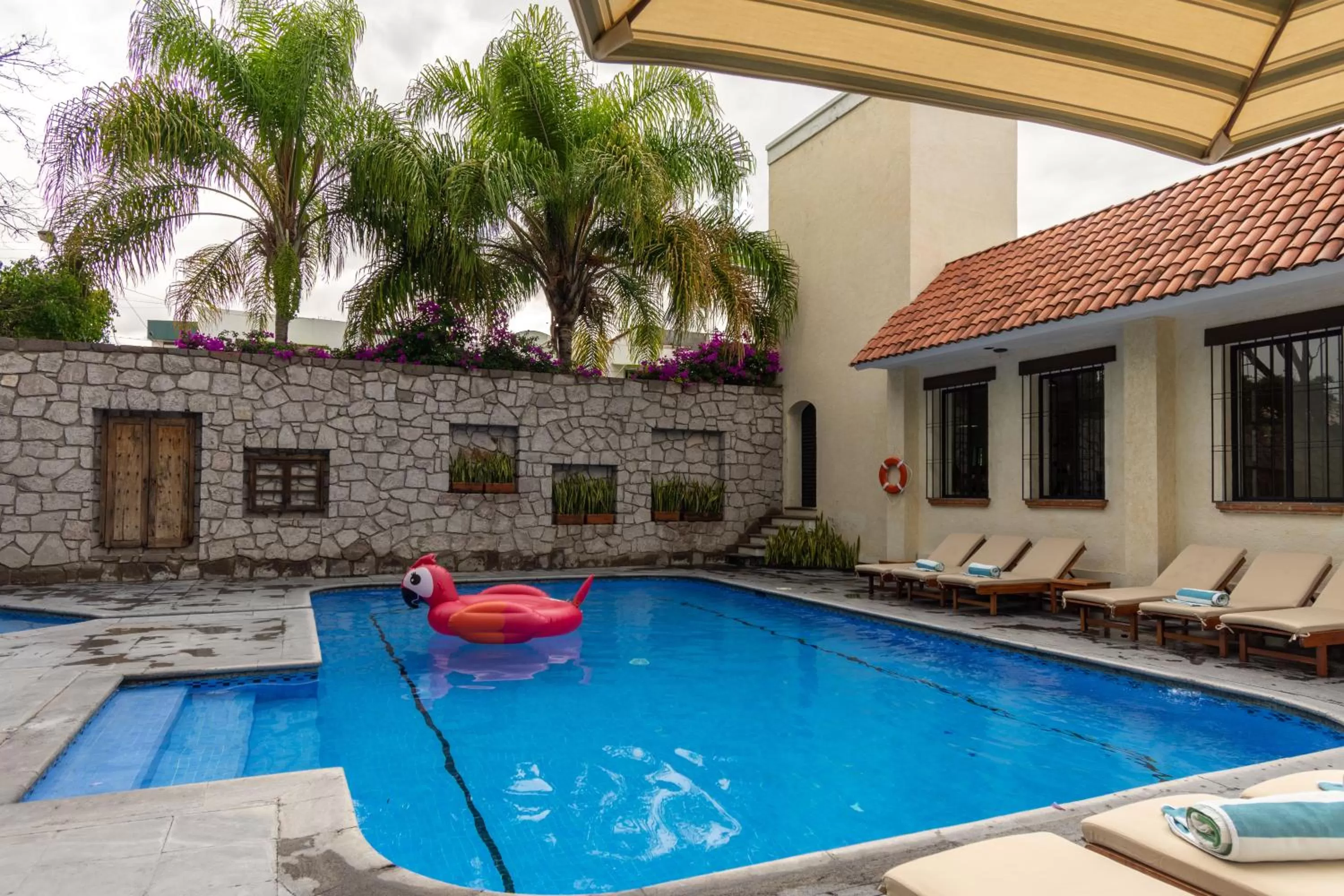 Swimming pool in Hotel Flamingo Inn