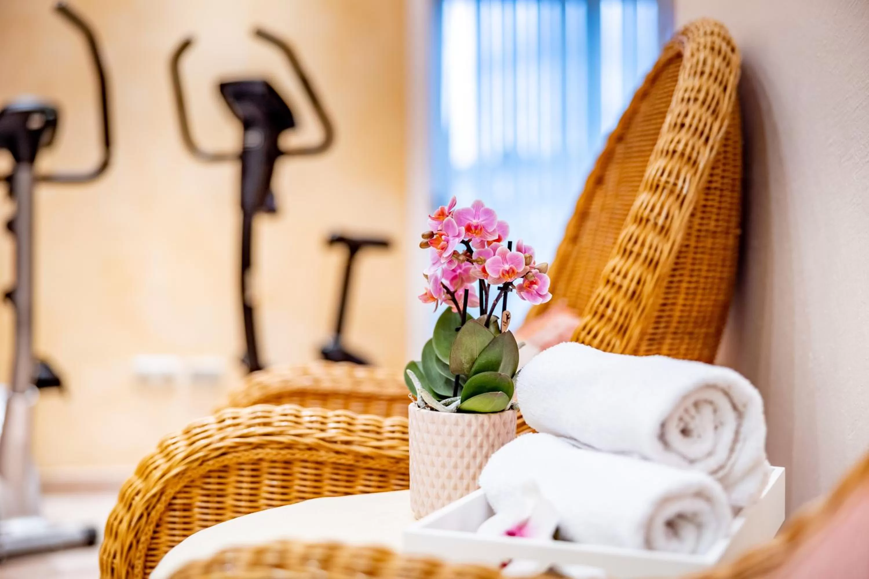 Spa and wellness centre/facilities in Hotel-Restaurant Minichmayr