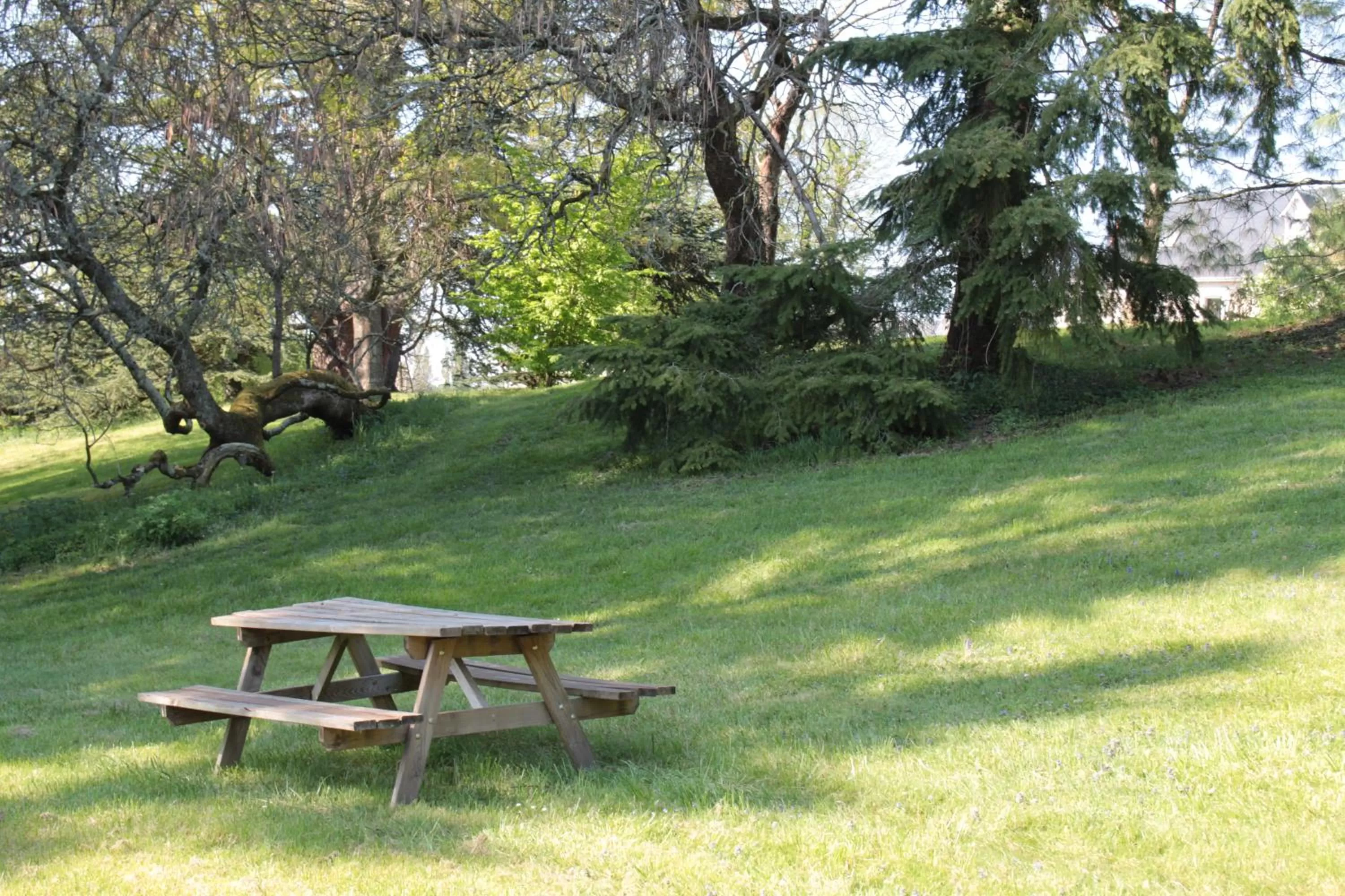 Natural landscape in La Poignardière