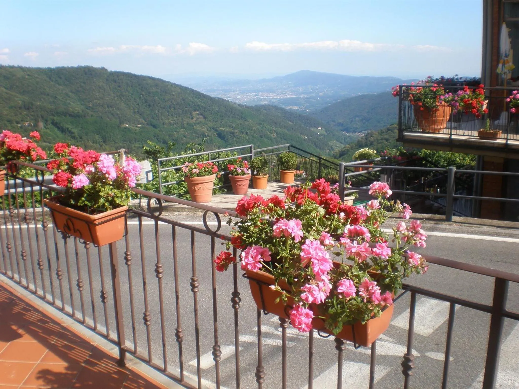 View (from property/room) in Amelia Hotel