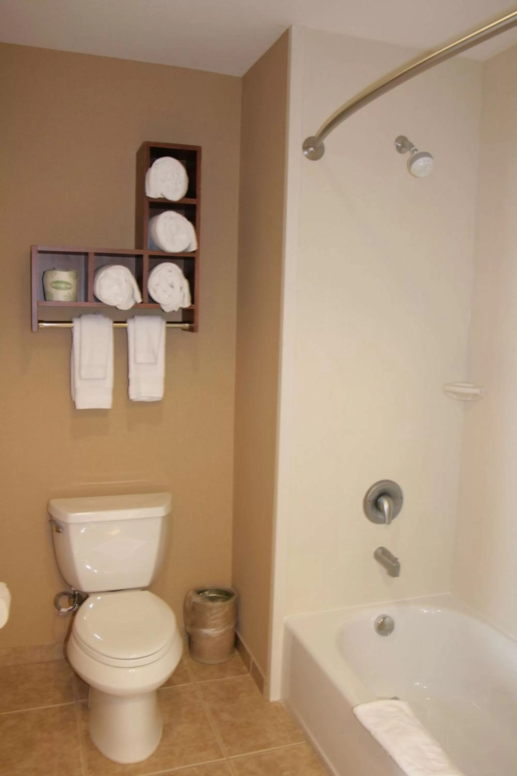 Bathroom in Hampton Inn & Suites Folsom