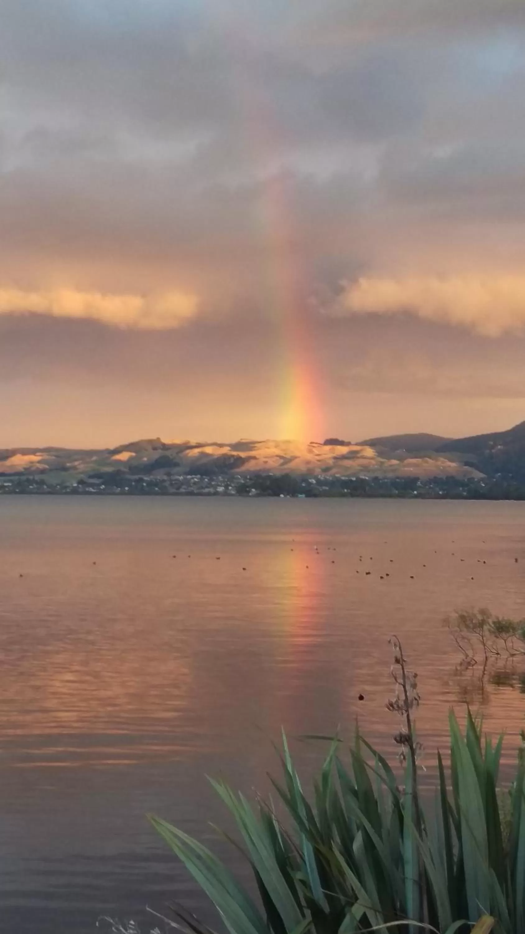 Koutu Beach Bed and Breakfast