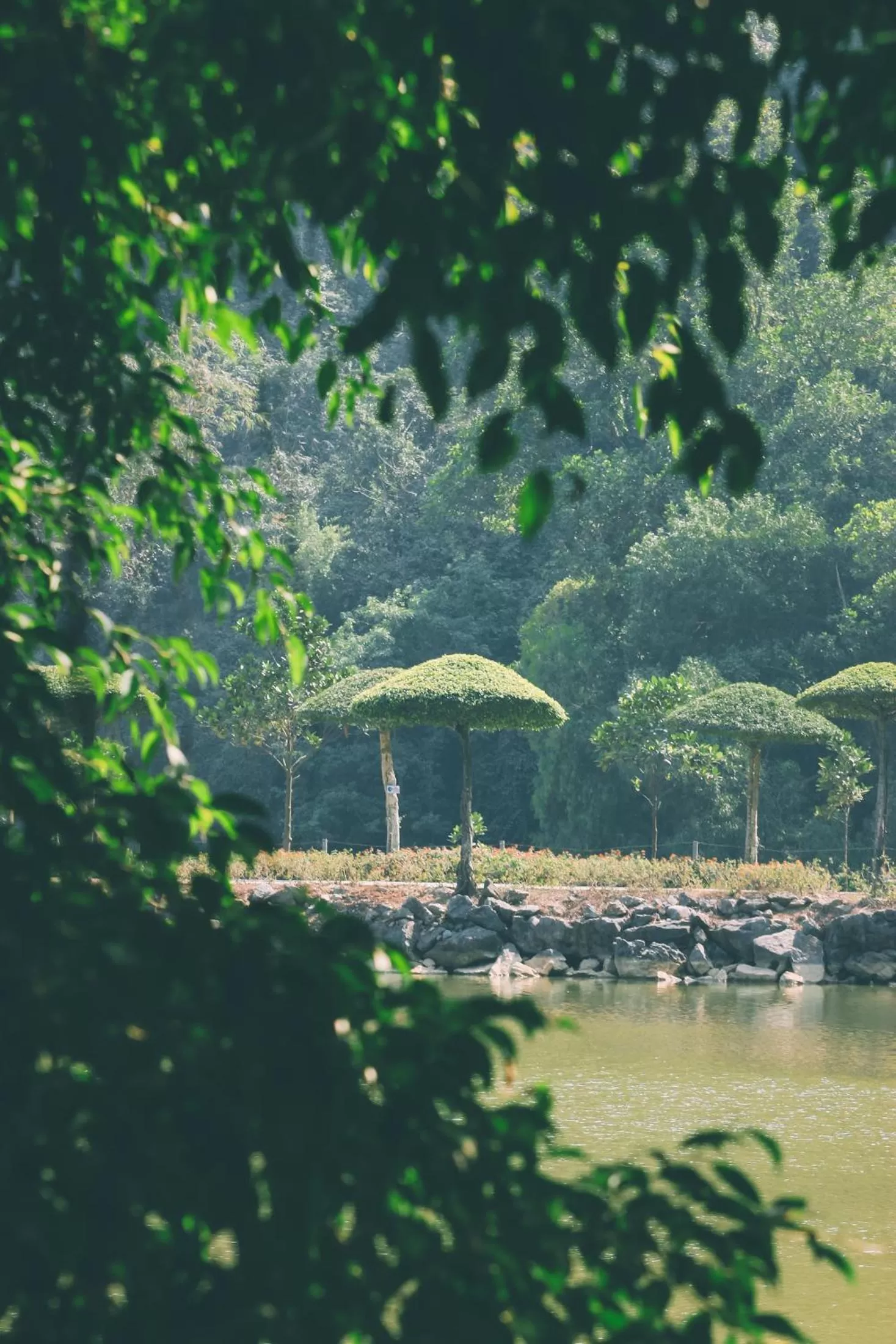 Natural landscape in Thung Nham Resort