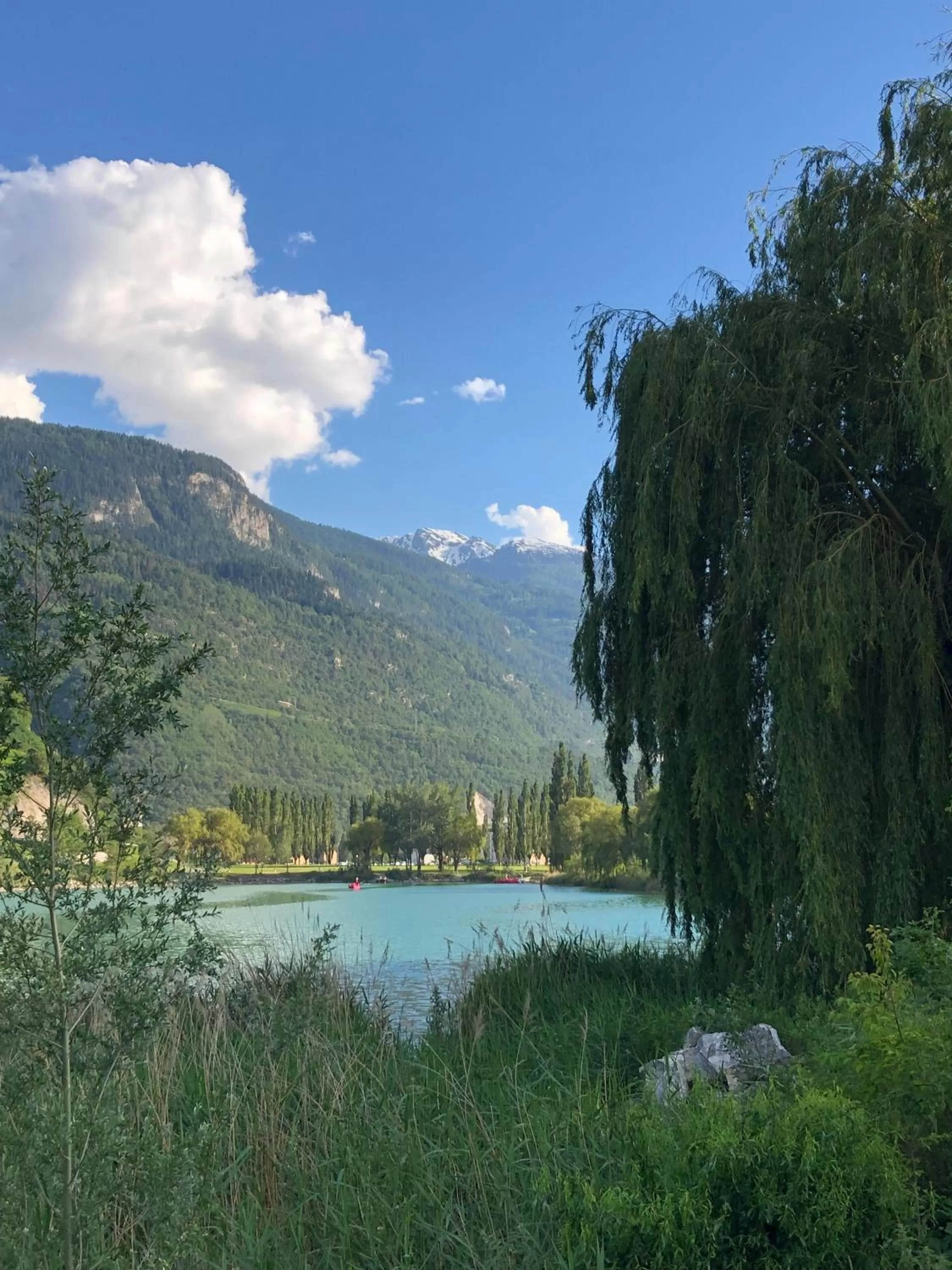 Natural landscape in BnB Chantevent