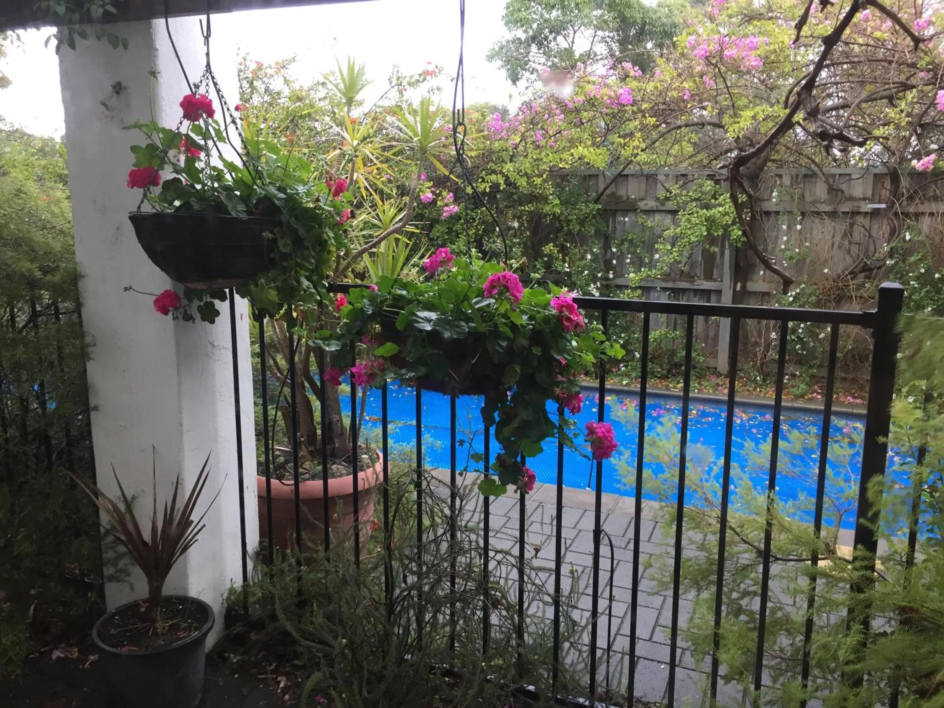 Swimming pool in Aarn House B&B Airport Accommodation