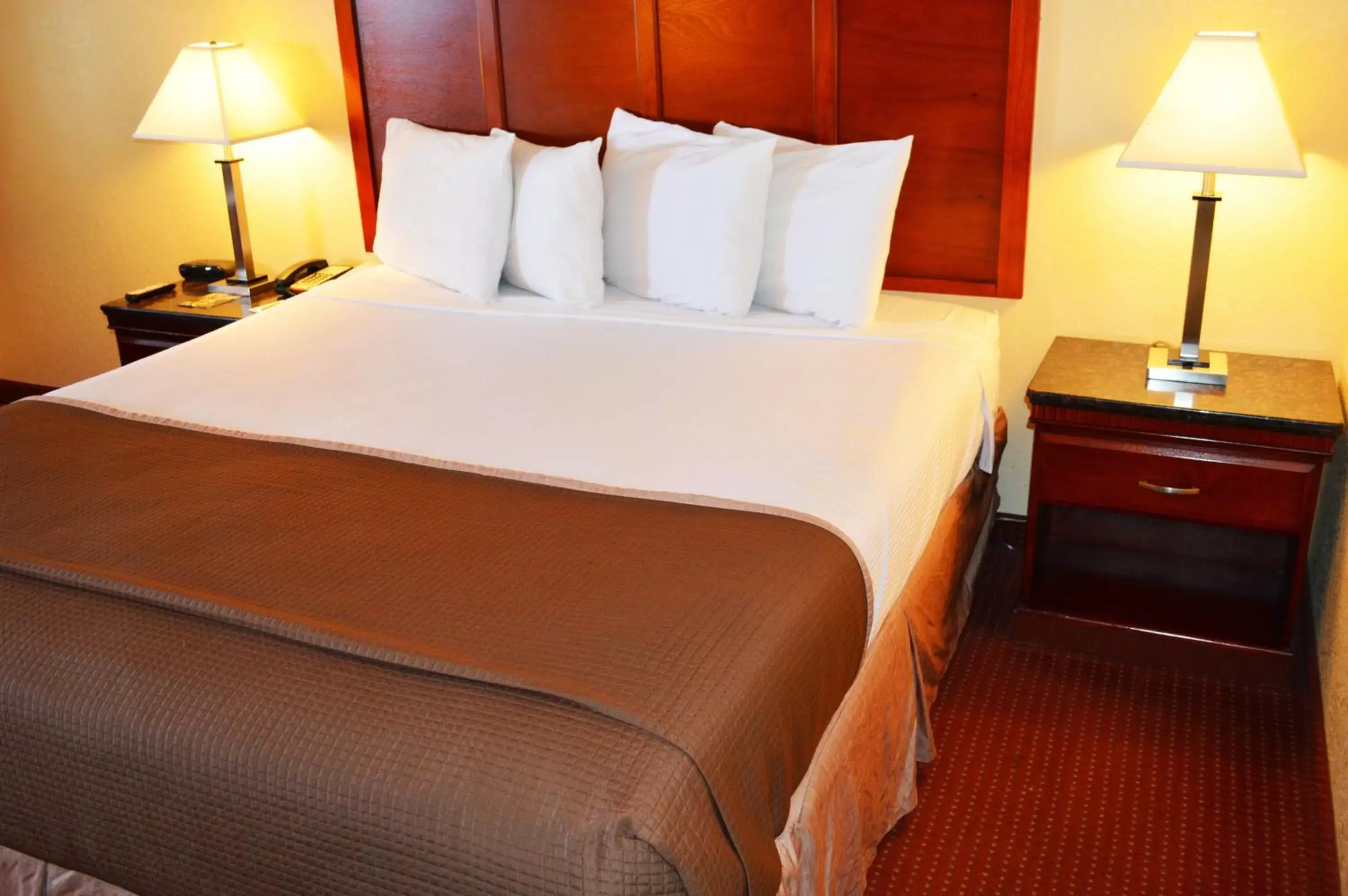 Standard King Room in Rodeway Inn South San Francisco Airport Standard King Room in Rodeway Inn South San Francisco Airport