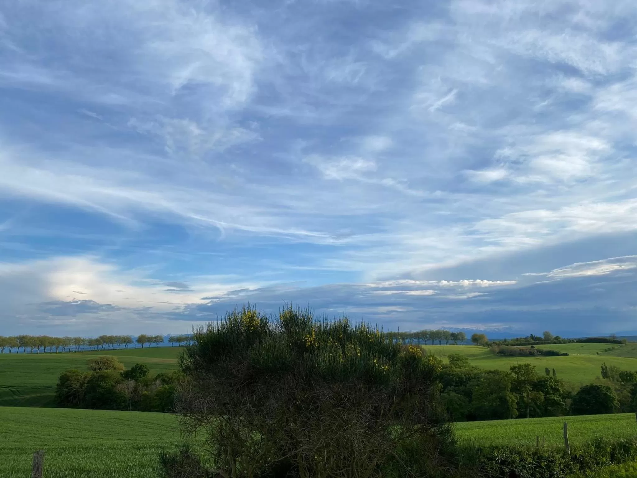 Garden in Manoir du Bouyssou