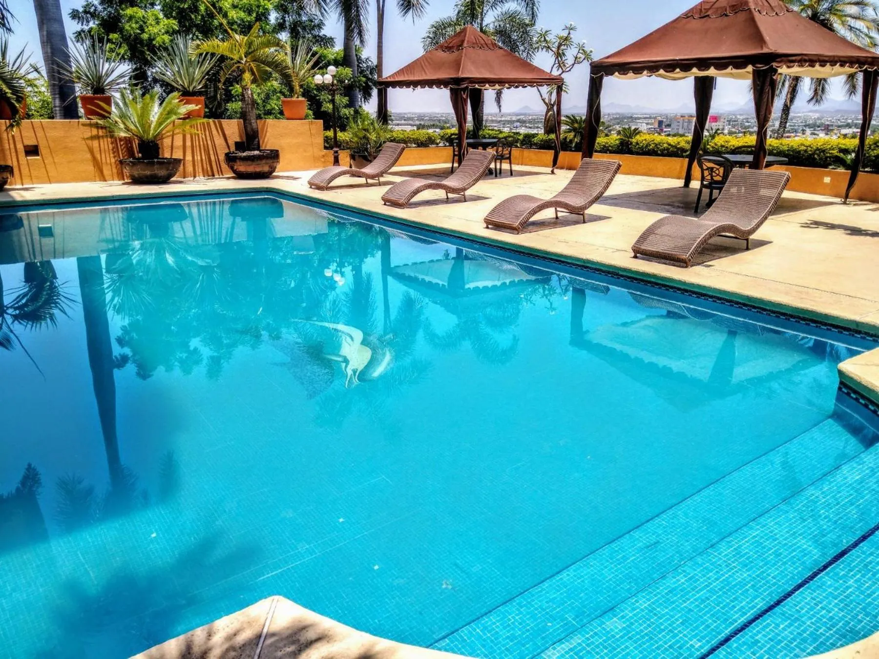 Swimming pool in Hotel San Luis Lindavista