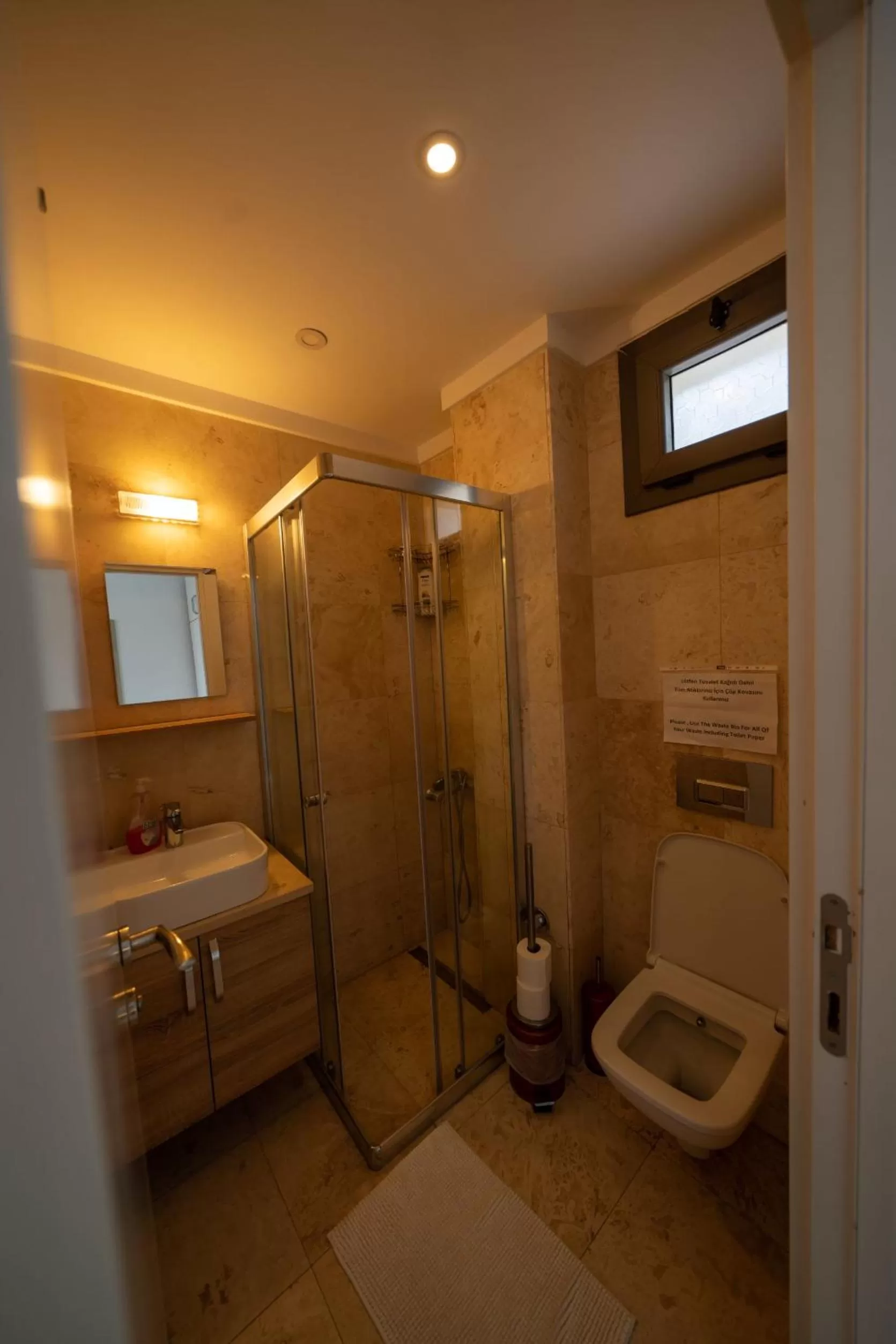 Shower in Ilya Apart 1