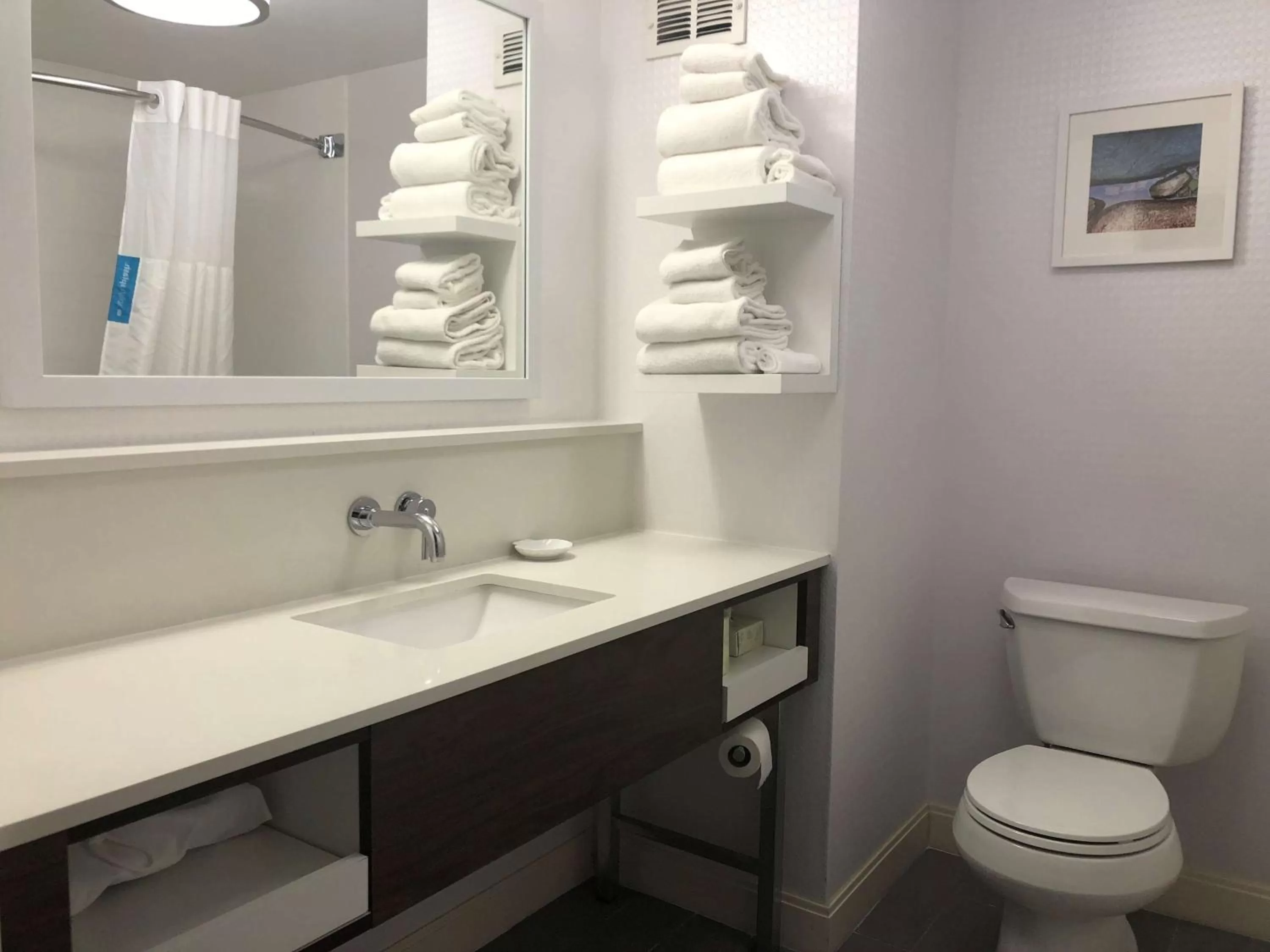 Bathroom in Hampton Inn Youngstown-North