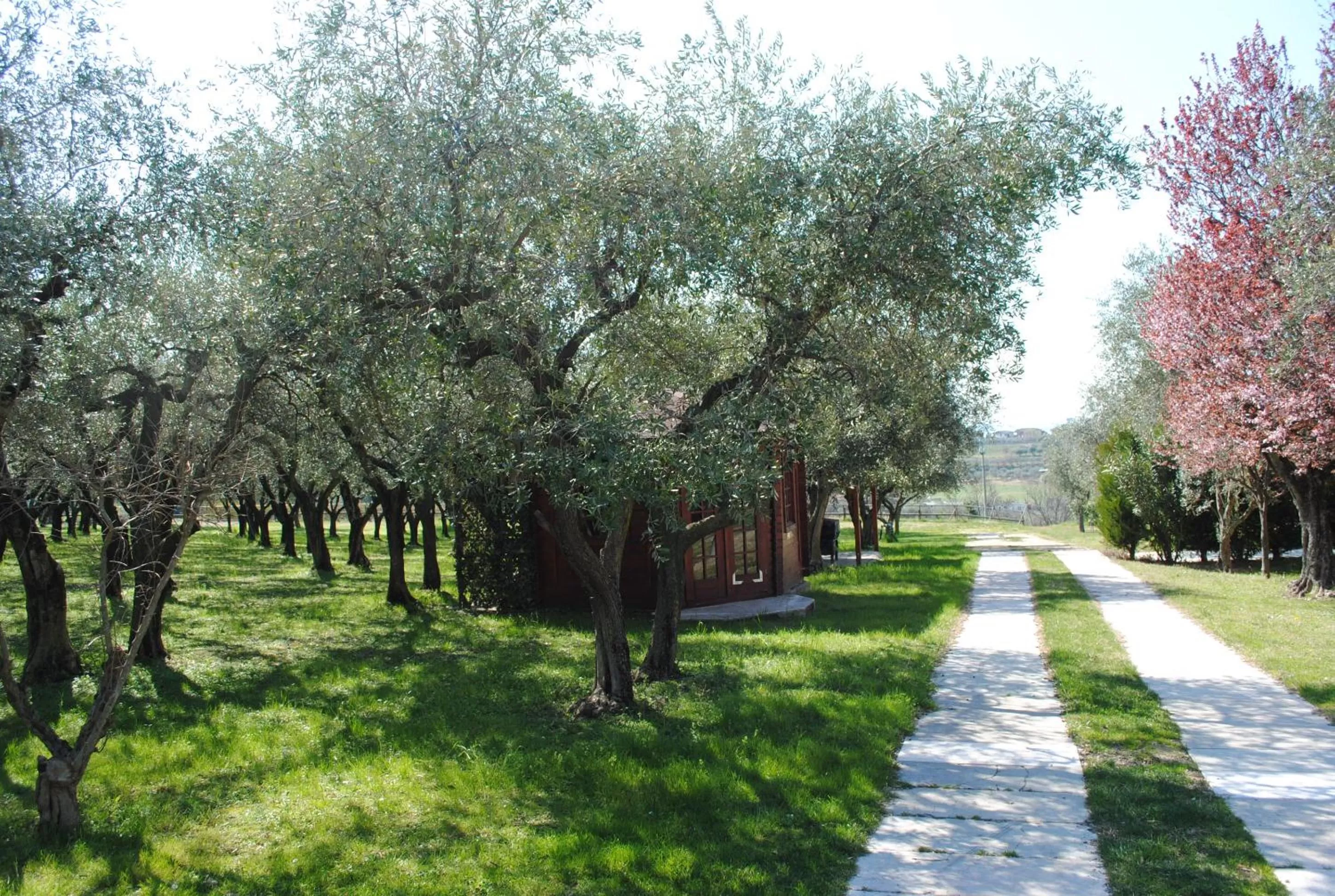 Facade/entrance in AGRITURISMO MELOGRANO D'ORO
