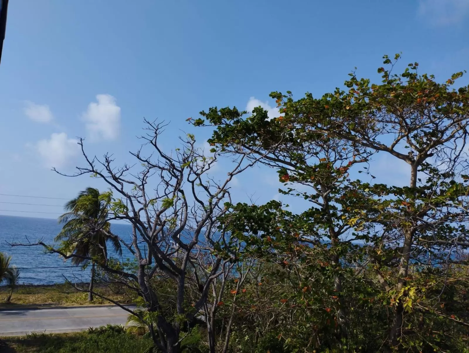 Natural landscape in Sunset Paradise