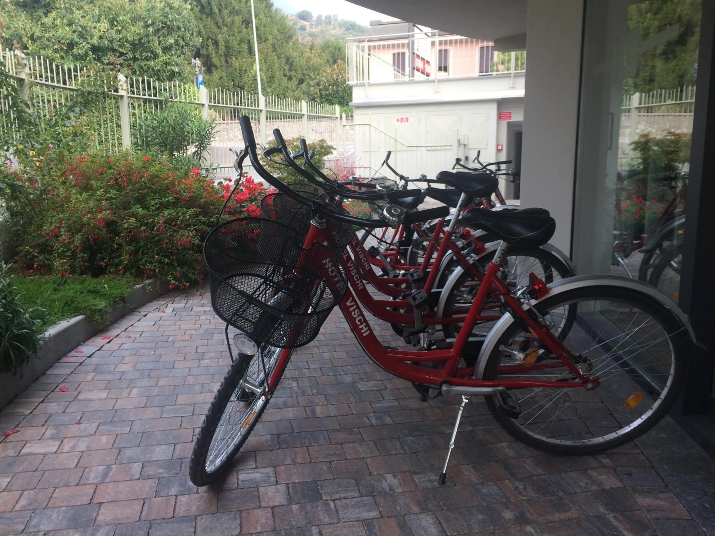 Cycling in Hotel Vischi
