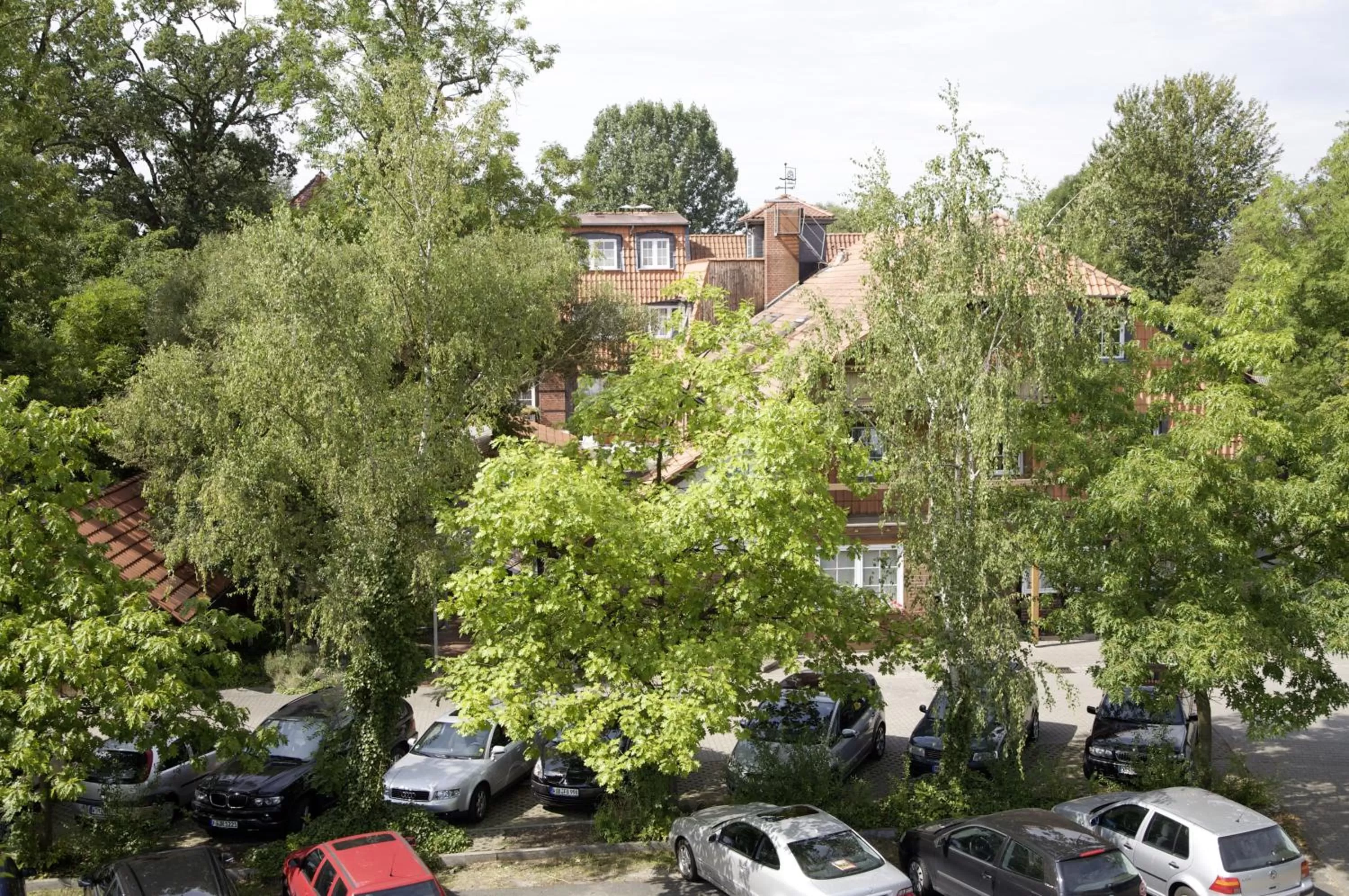 Bird's eye view in Brackstedter Mühle e.K.