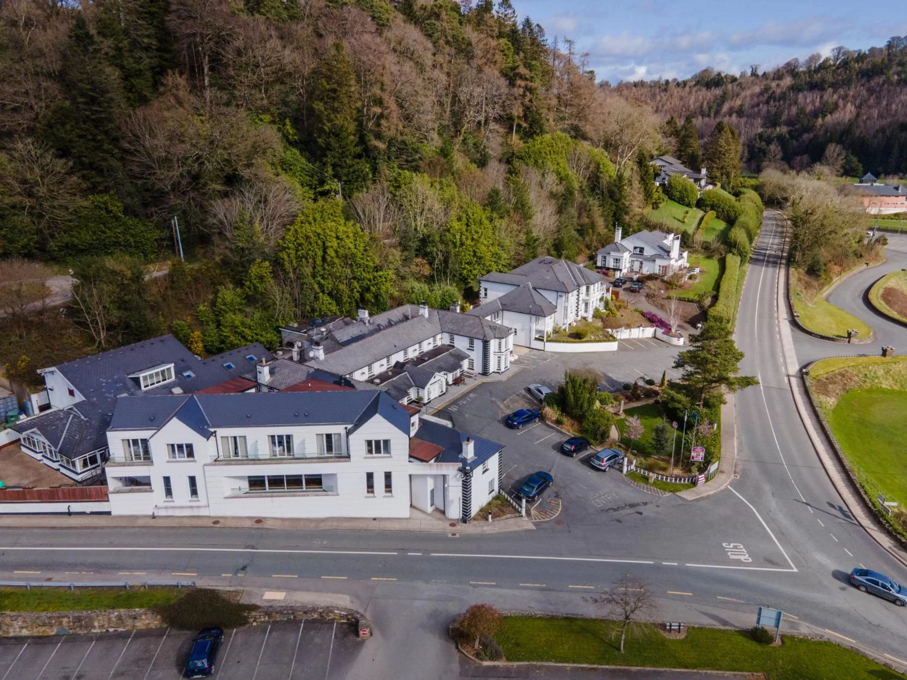 Bird's eye view in Woodenbridge Hotel