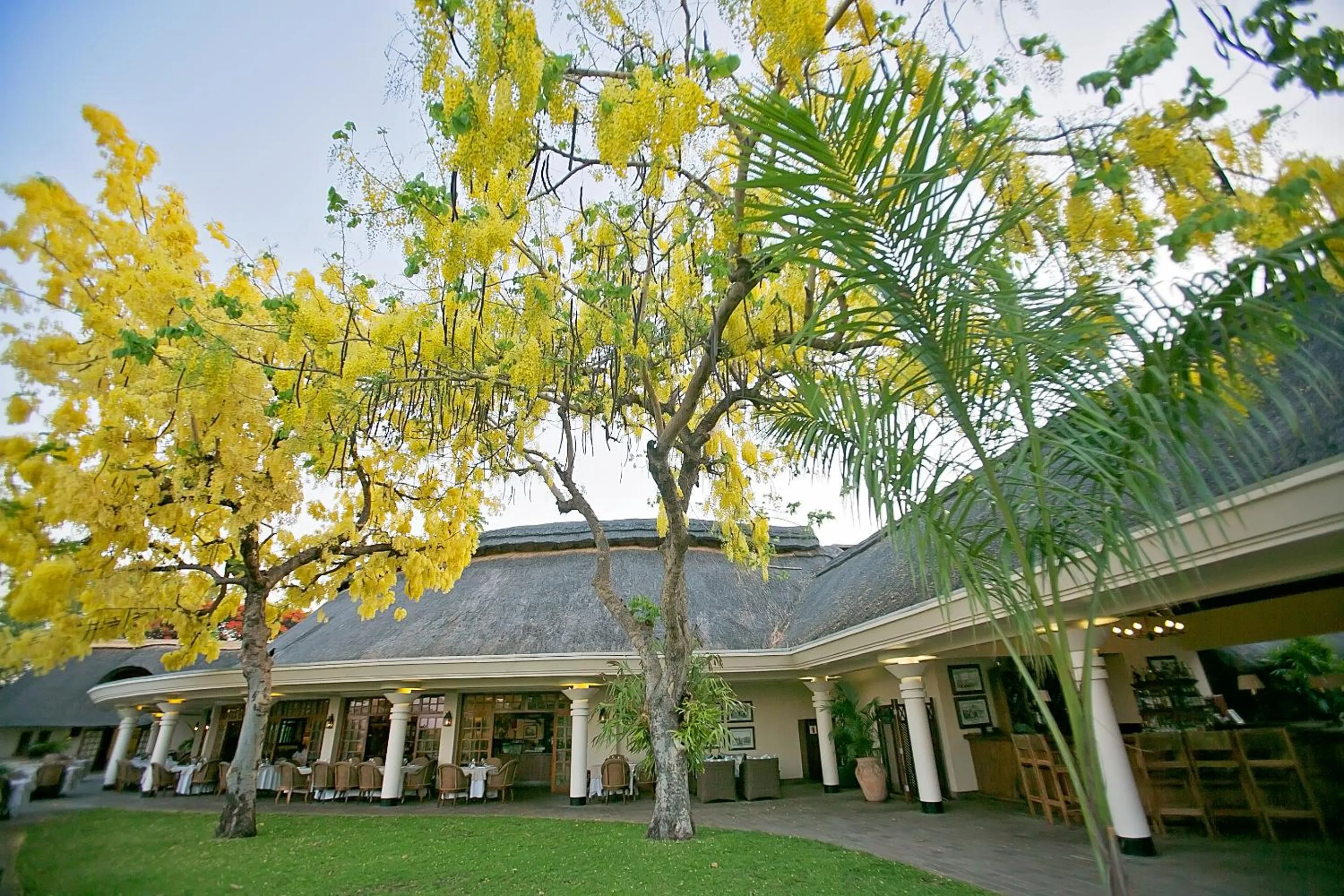 Restaurant/places to eat in Ilala Lodge Hotel