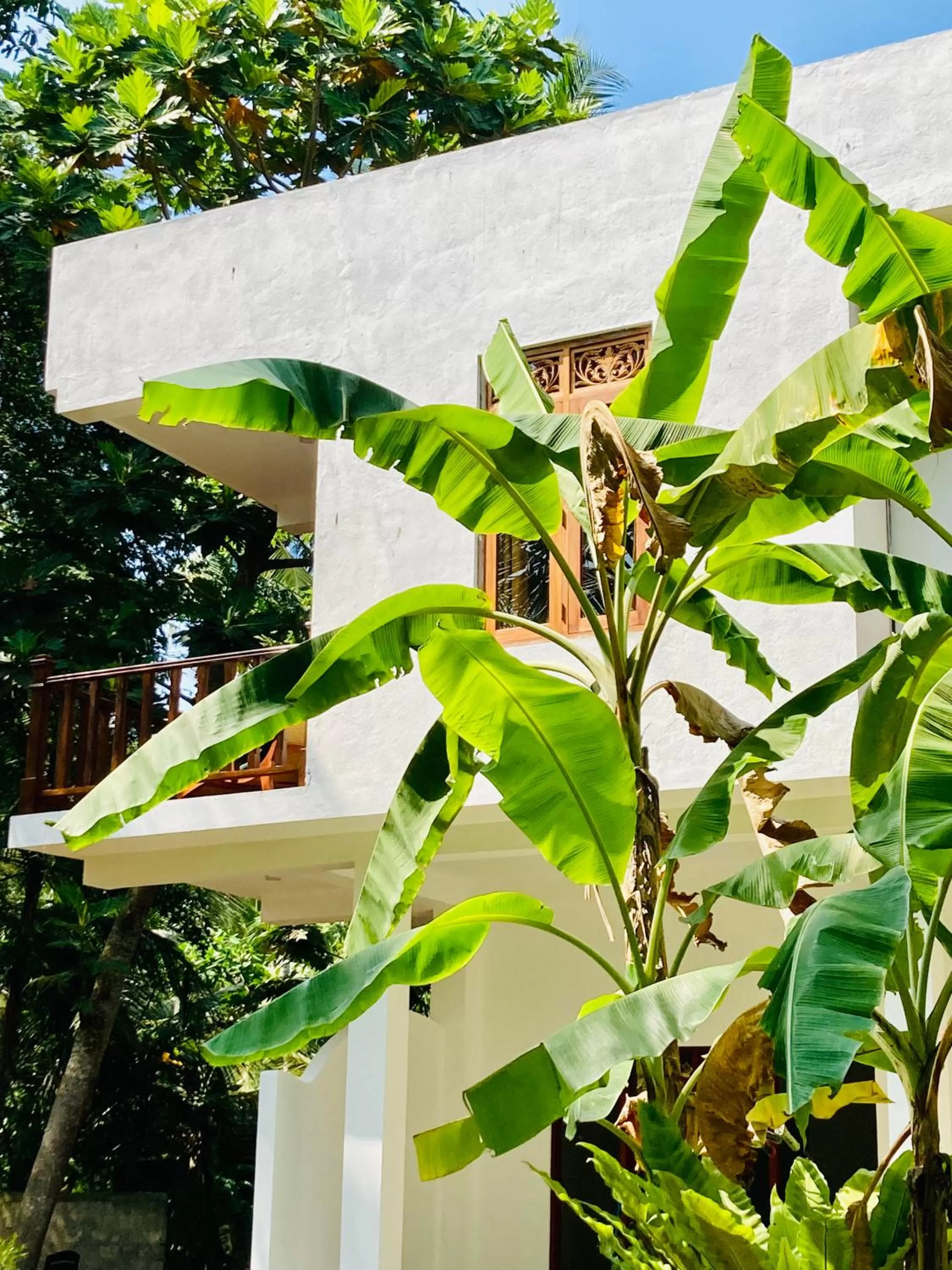 Property building in Manel Villa