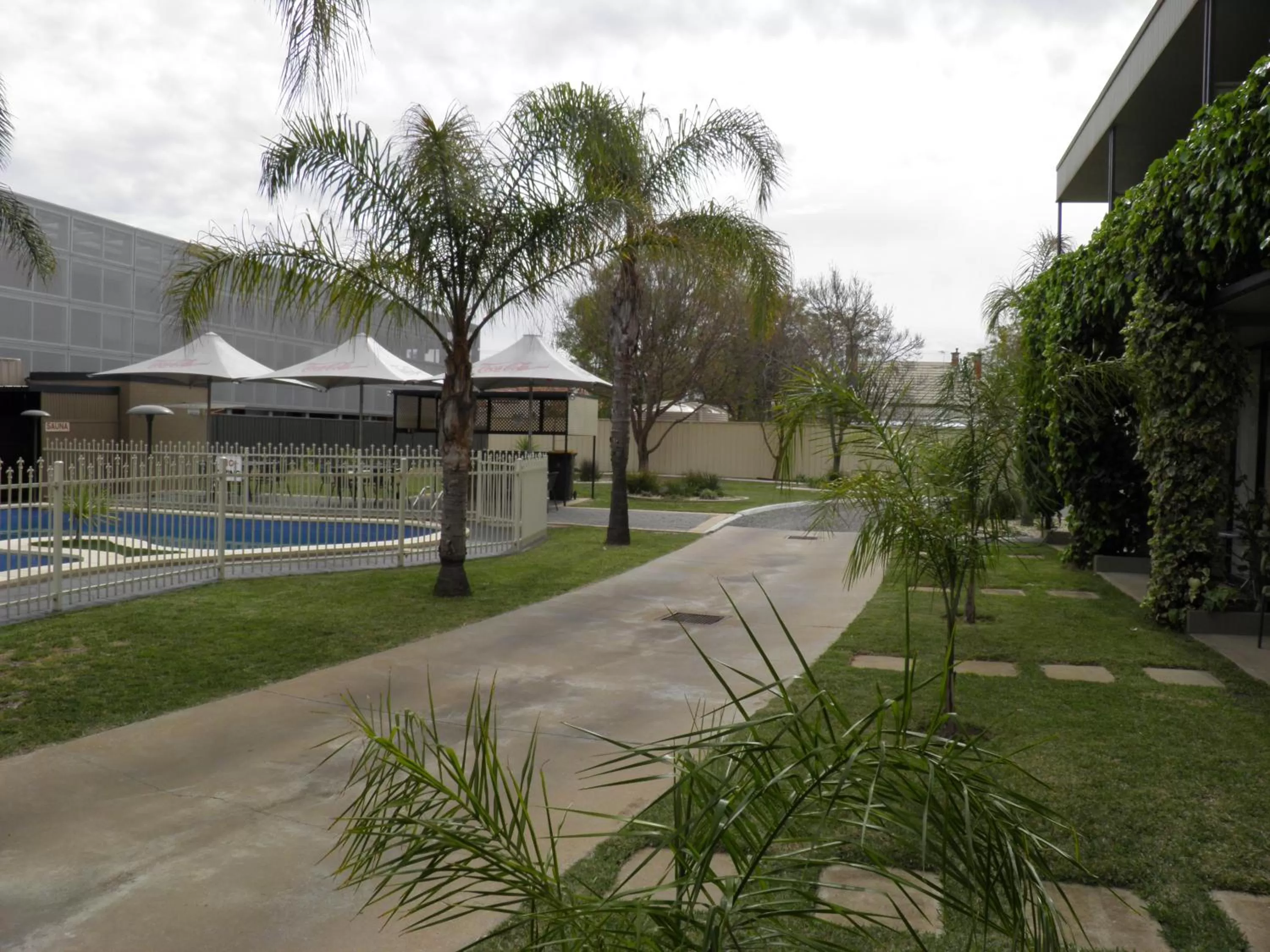 Garden in Sandors Motor Inn