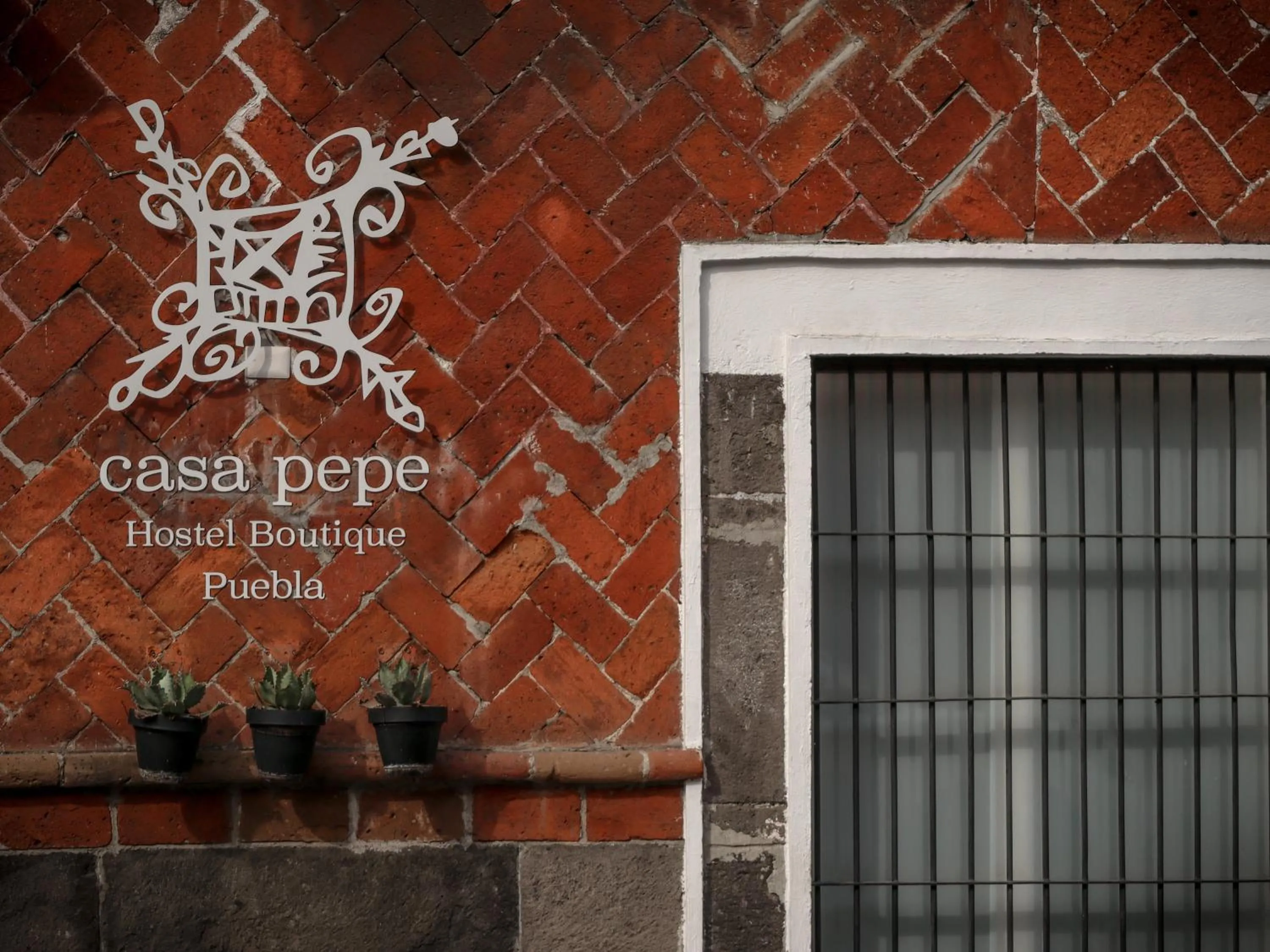 Property building in Casa Pepe